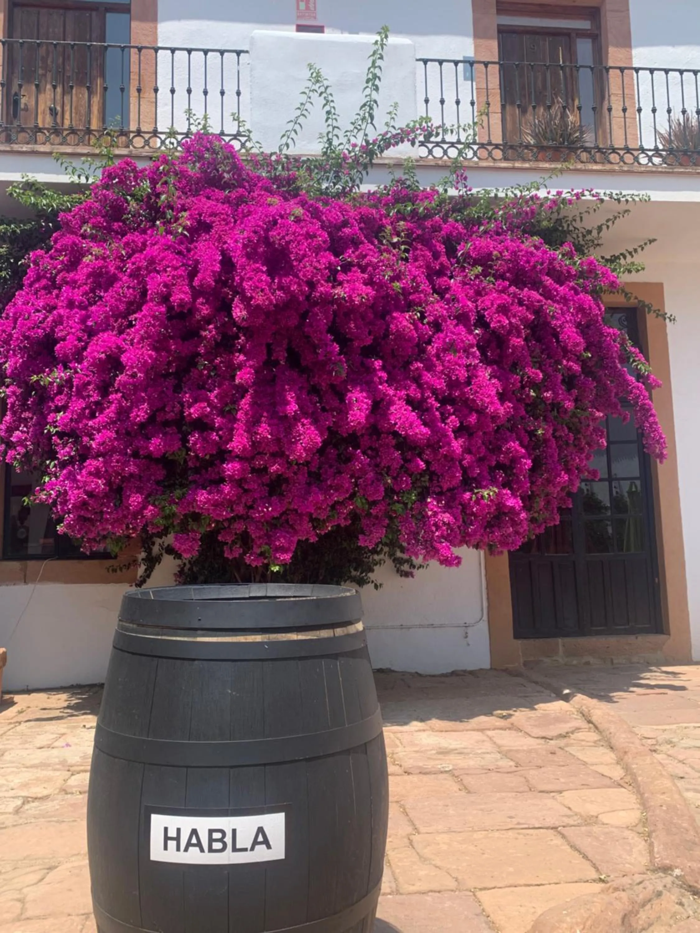 Garden in Molino La Nava