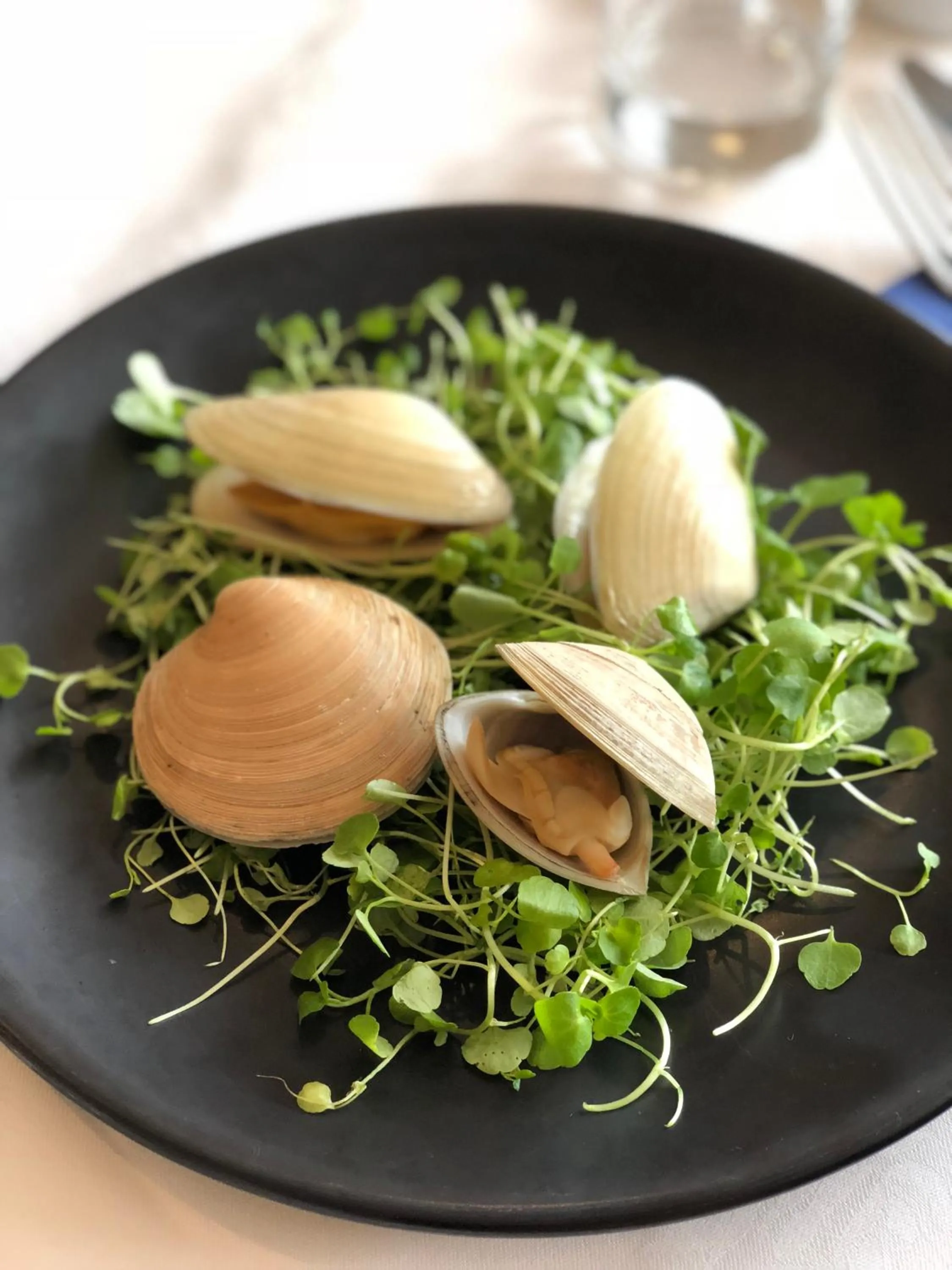 Food close-up in Edit Picton