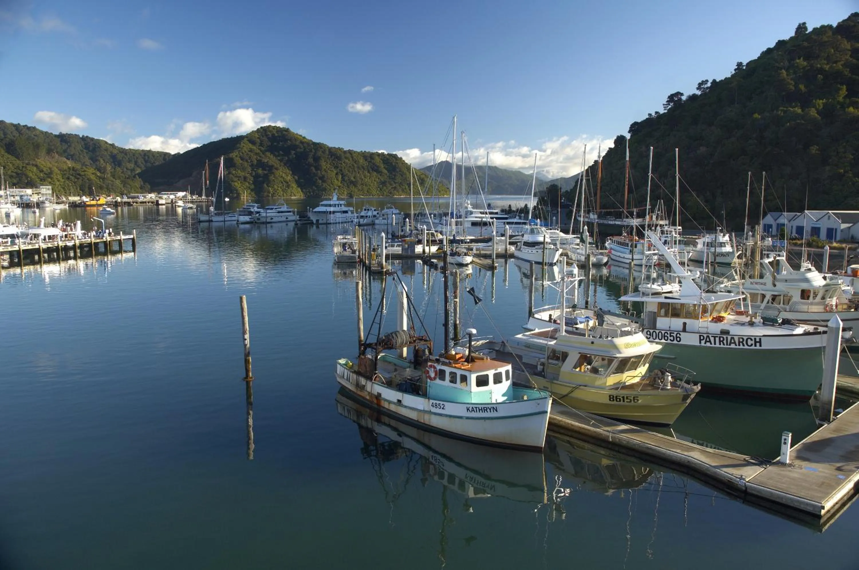 Area and facilities in Edit Picton