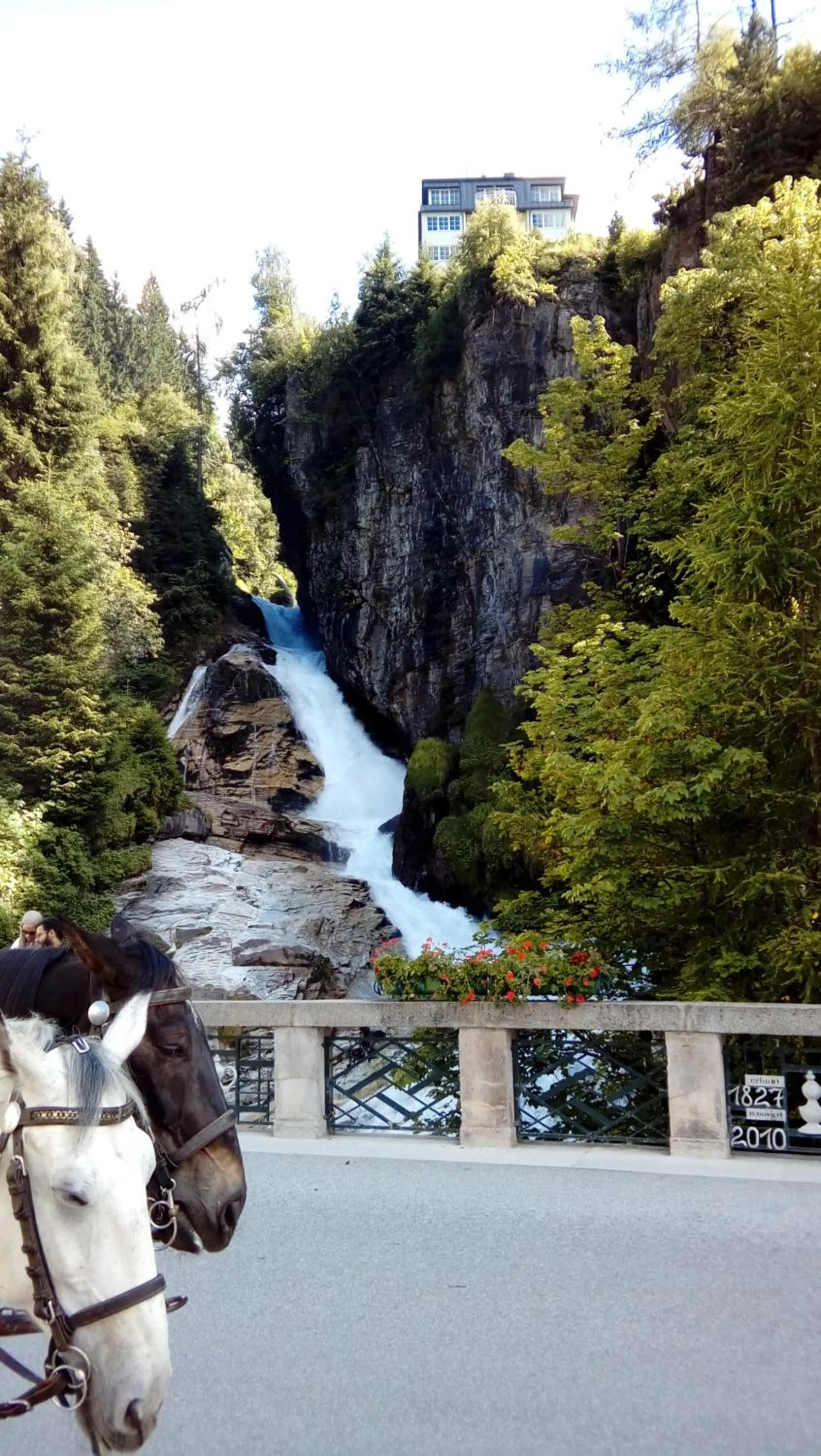 Off site in Hotel Das Gastein - ganzjährig inklusive Alpentherme Gastein & Sommersaison inklusive Gasteiner Bergbahnen