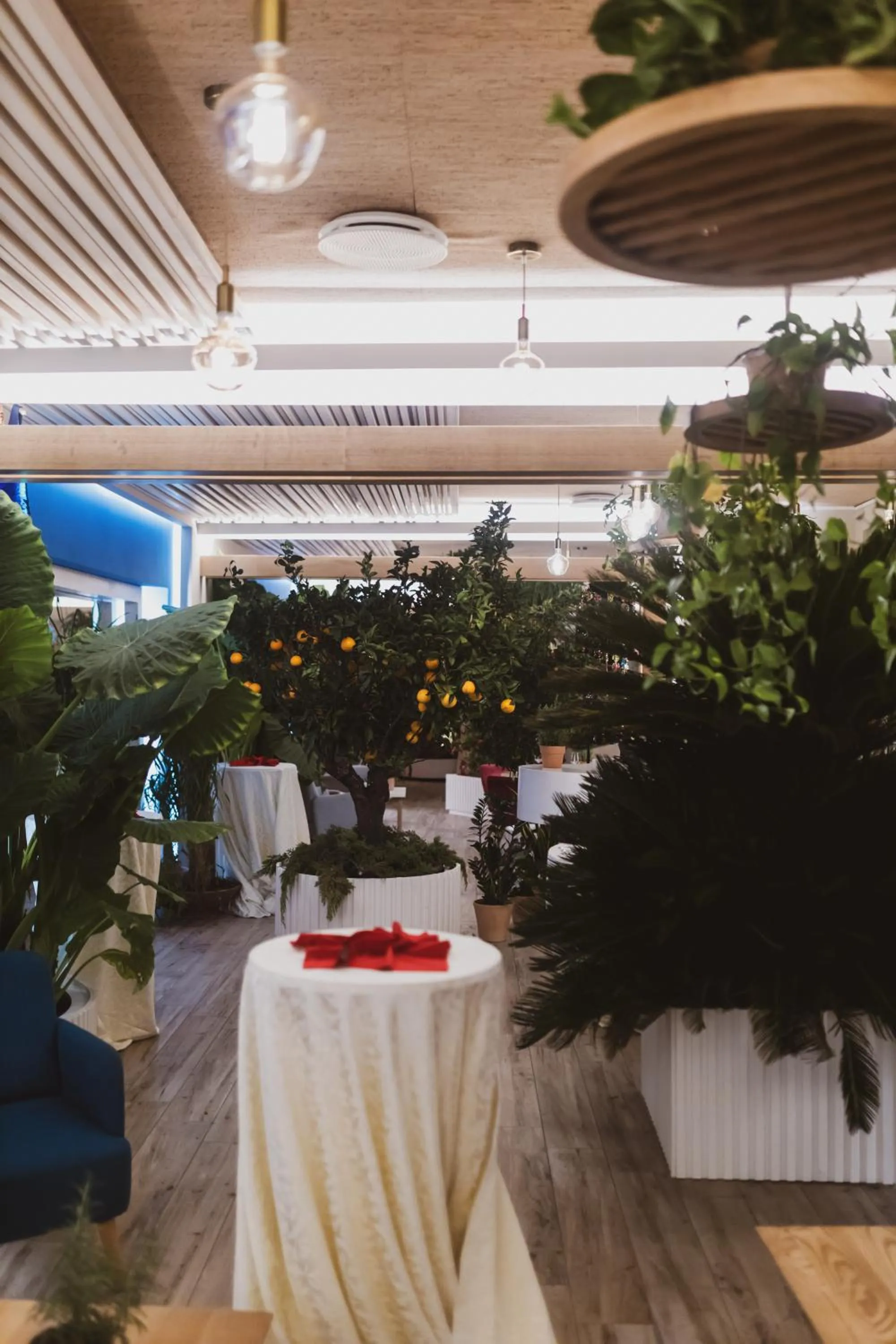 Sentido Michelizia Tropea Resort