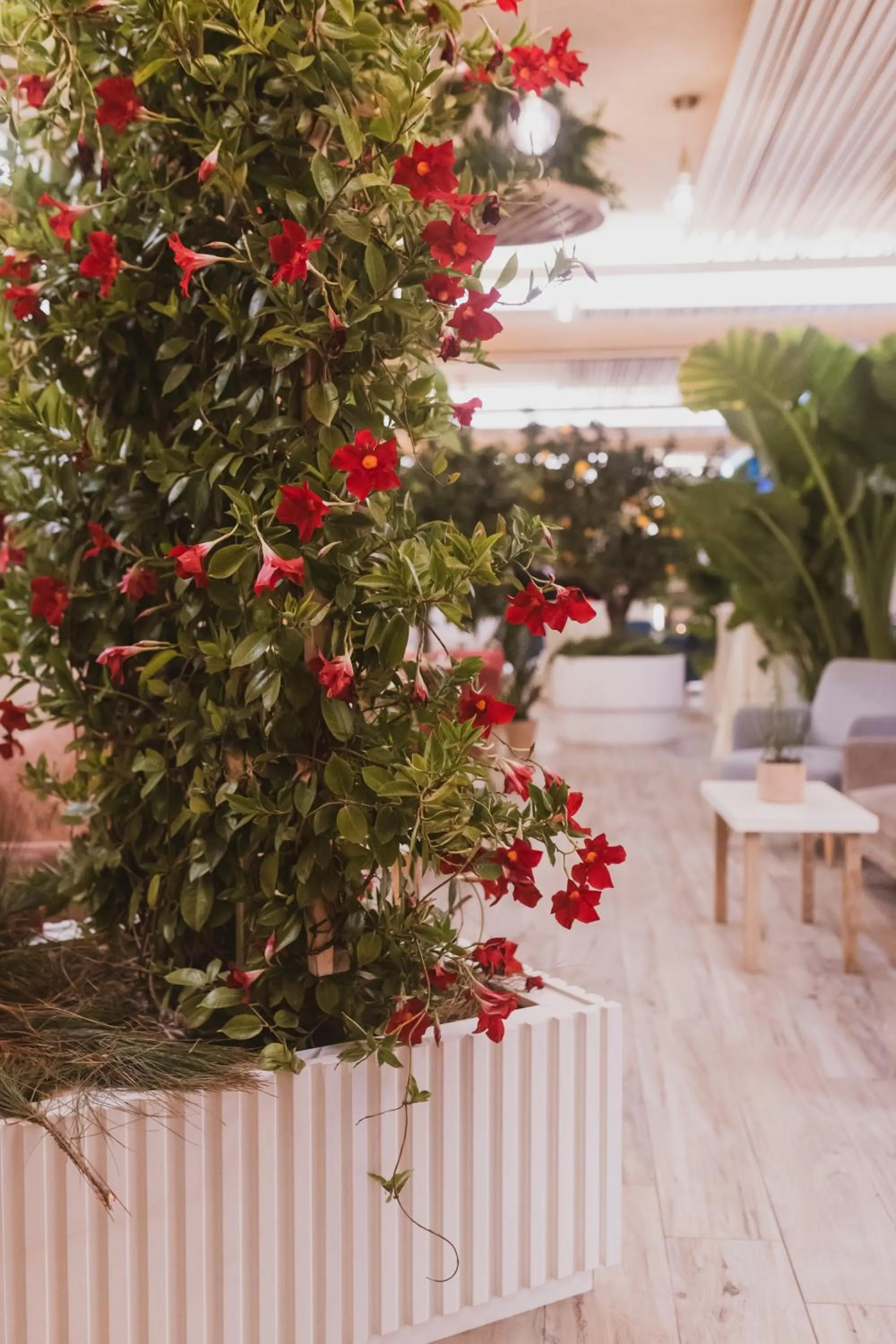 Sentido Michelizia Tropea Resort