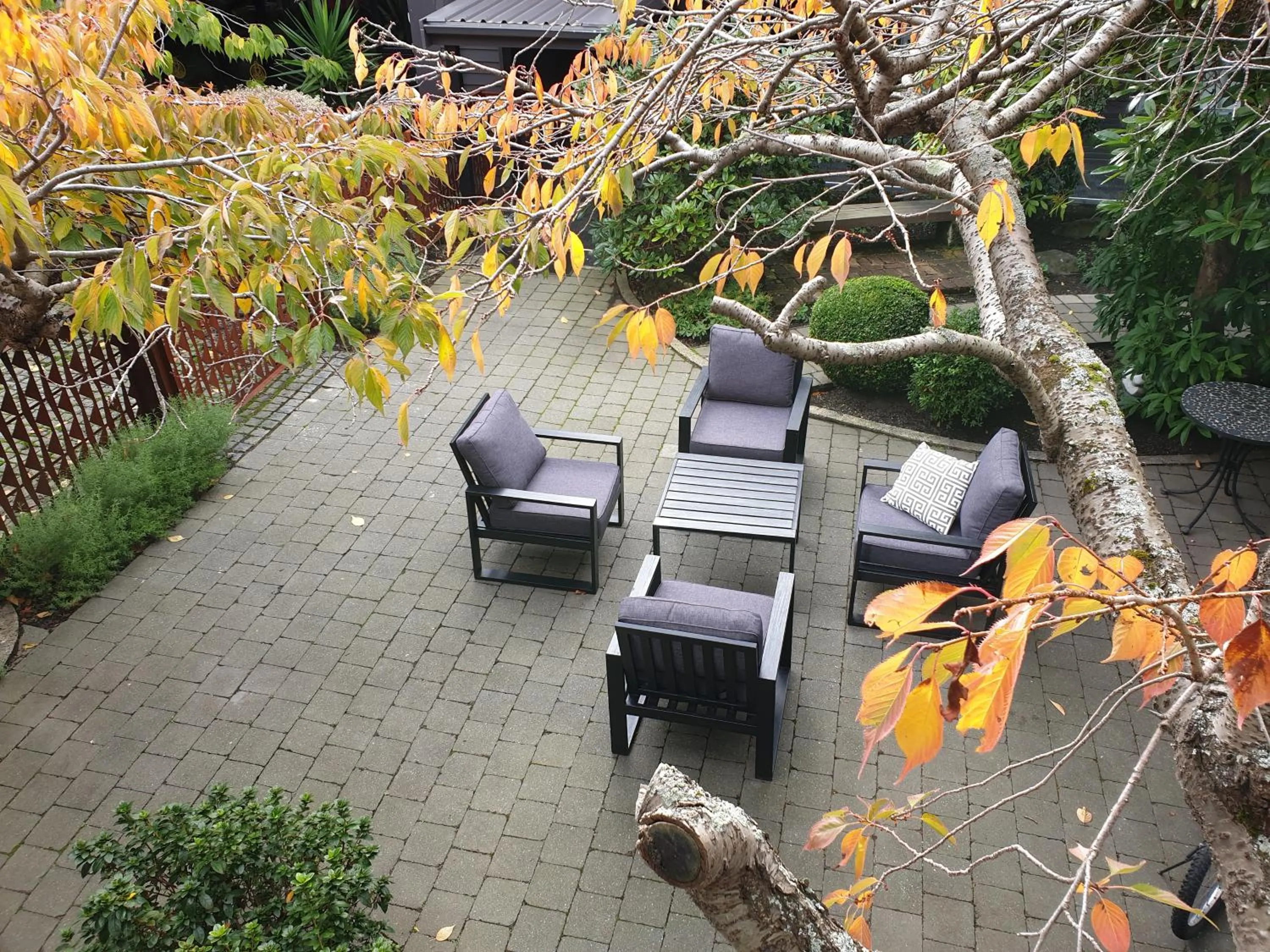 Garden in Aurora on George