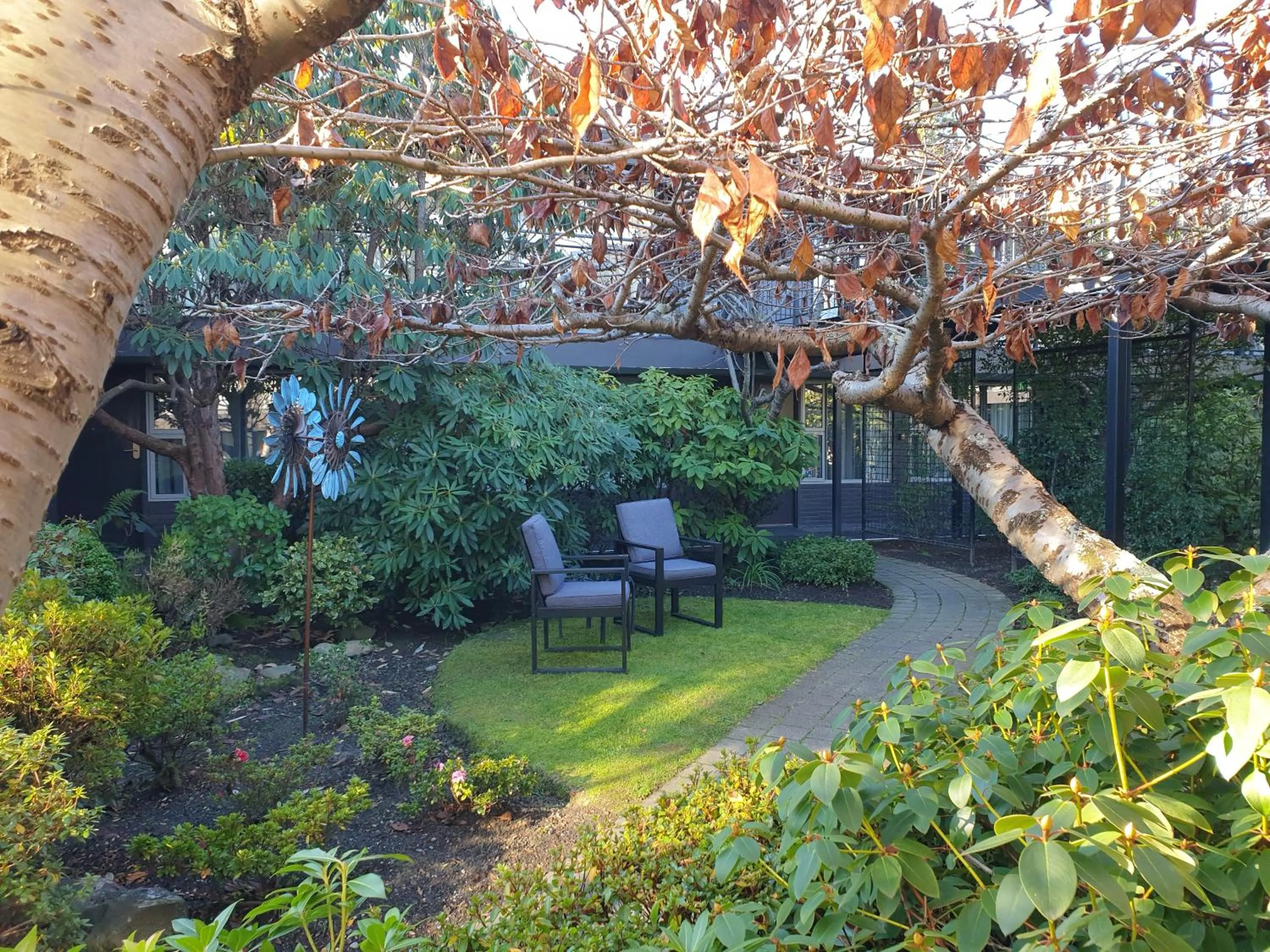 Garden in Aurora on George