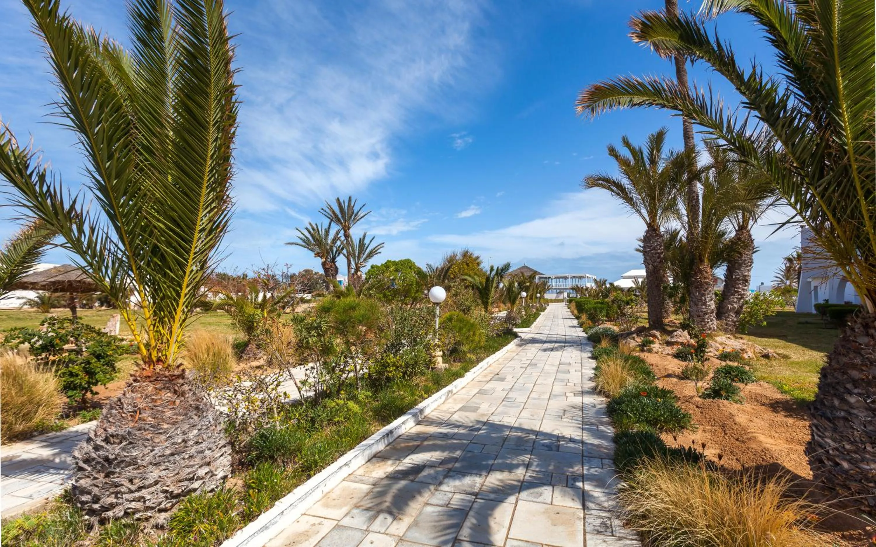 Garden in Djerba Holiday Beach