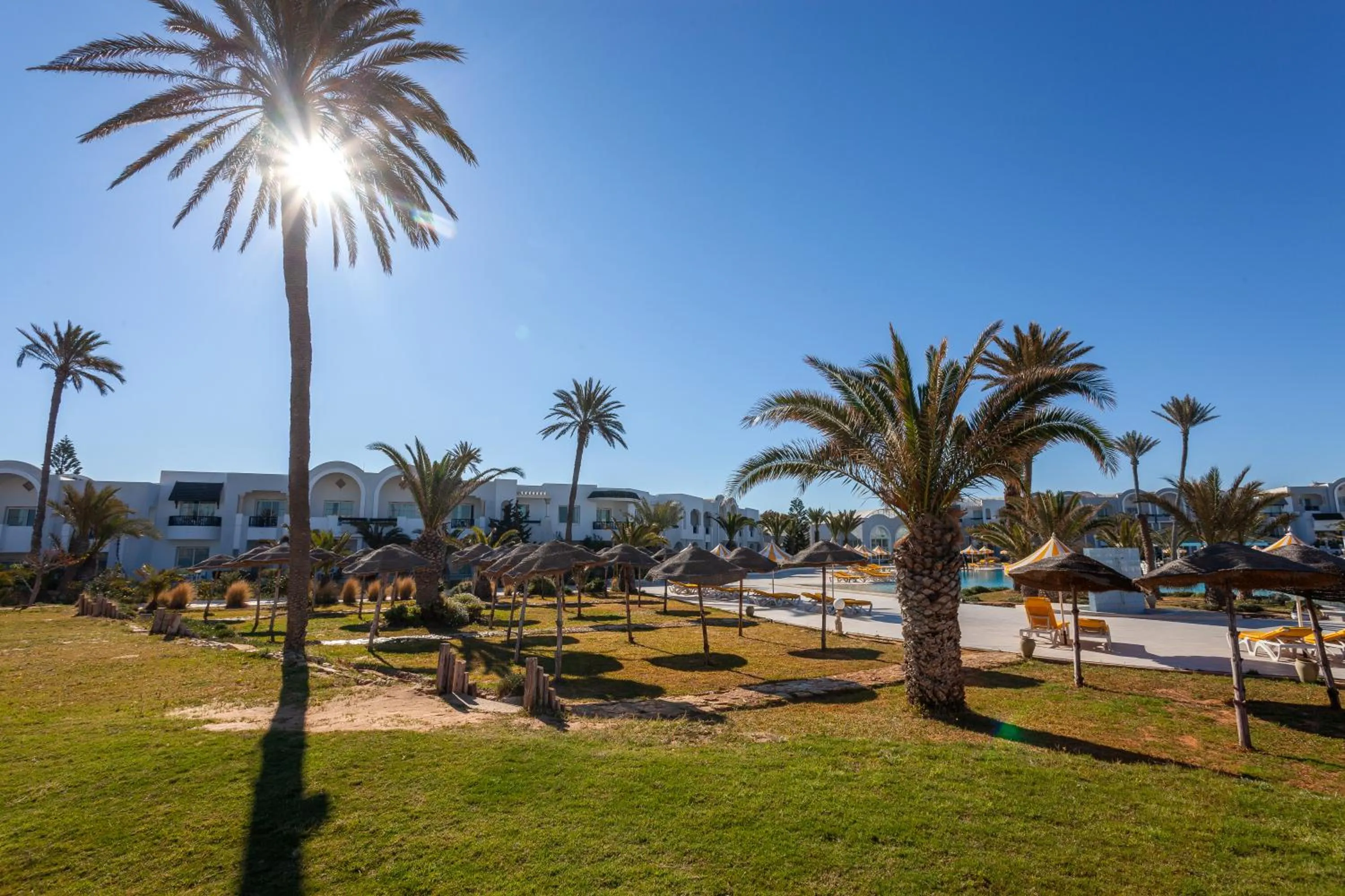 Garden in Djerba Holiday Beach