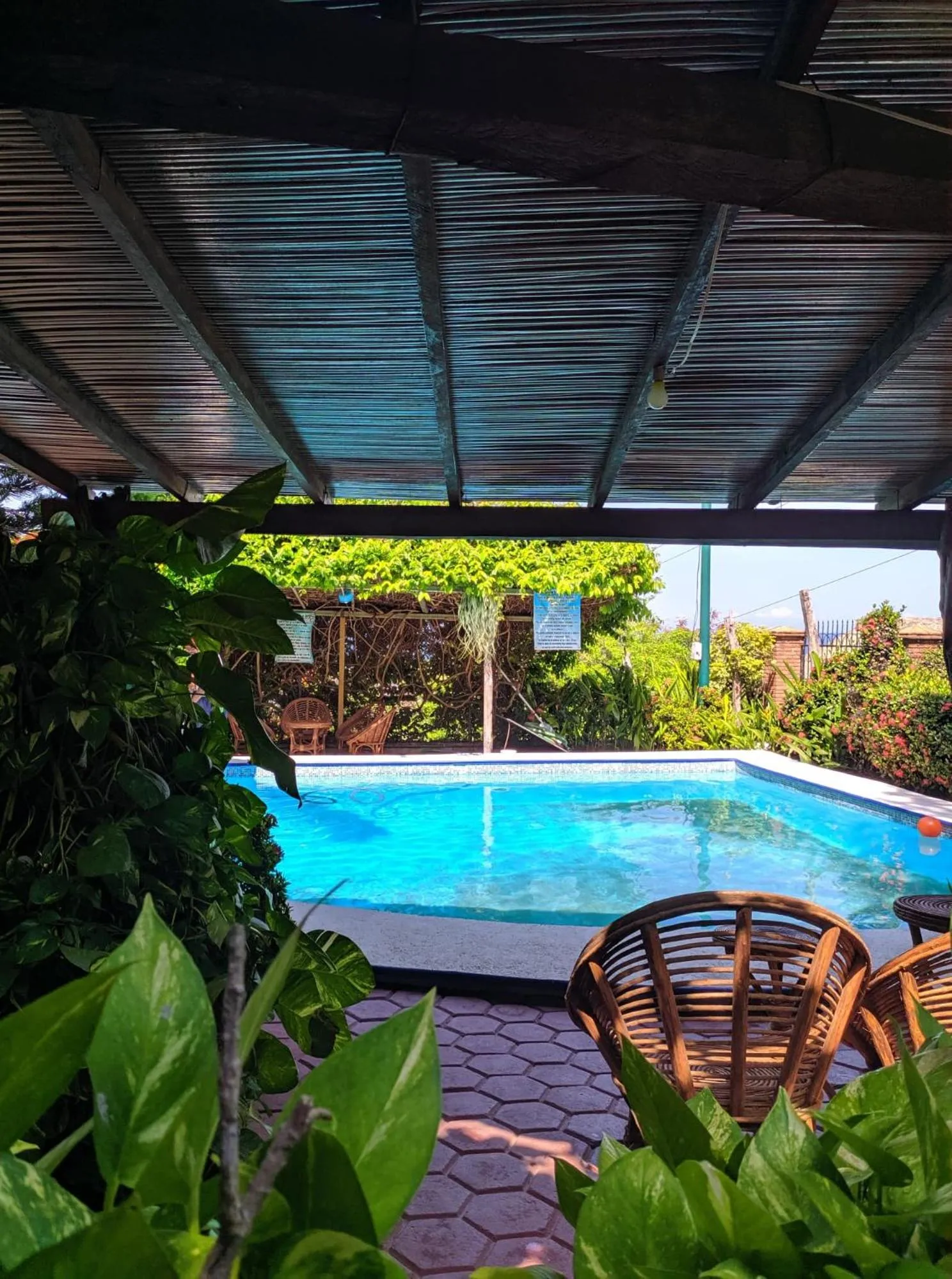 Swimming pool in Casa Terranova