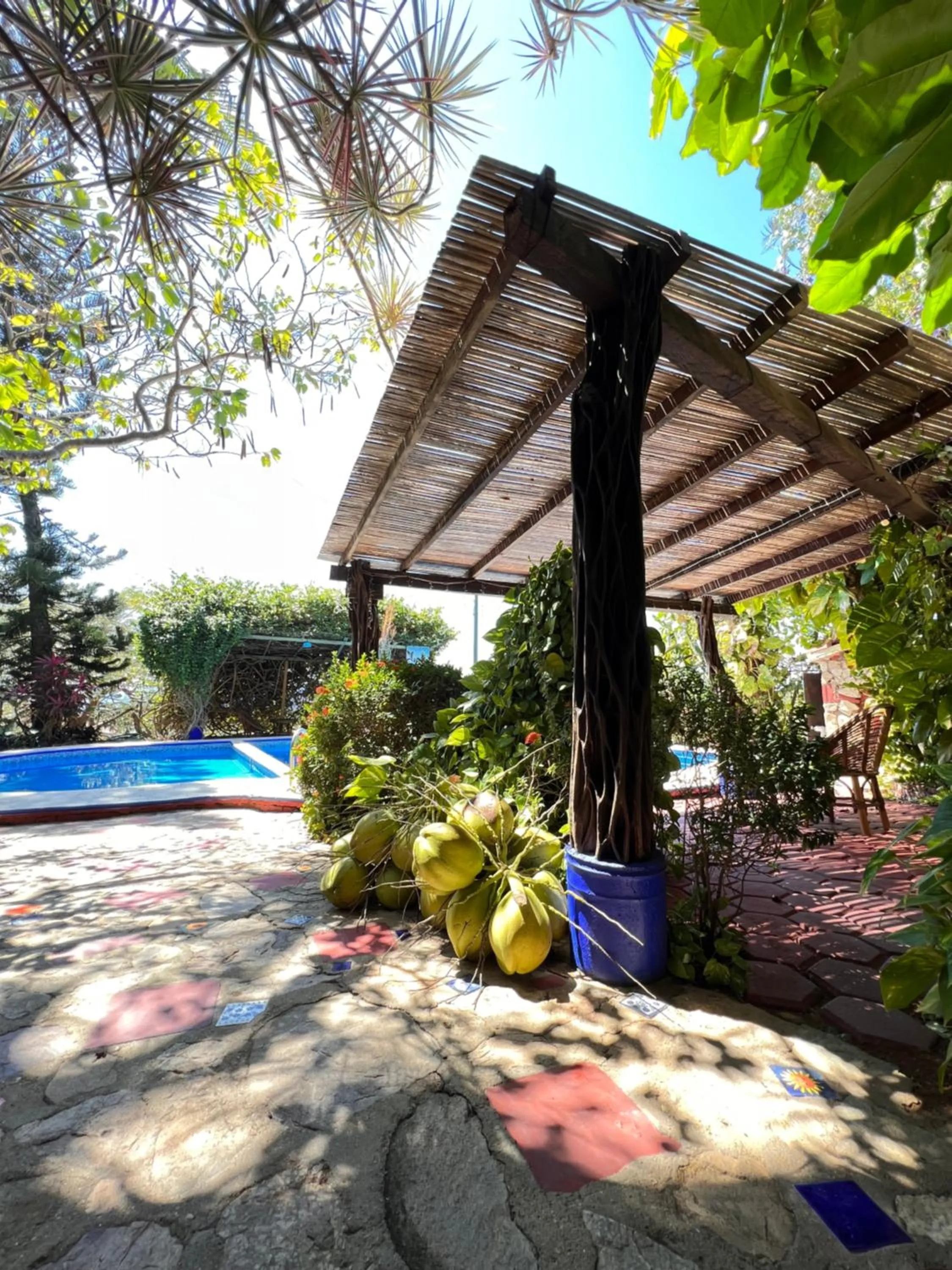 Swimming pool in Casa Terranova