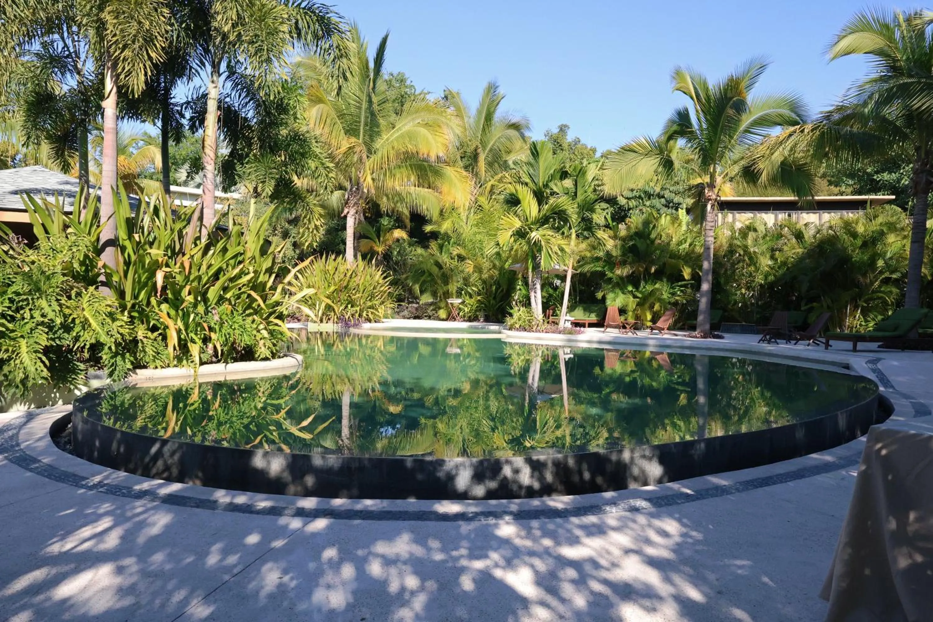 Swimming pool in Soul Spring Sanctuary Cuernavaca