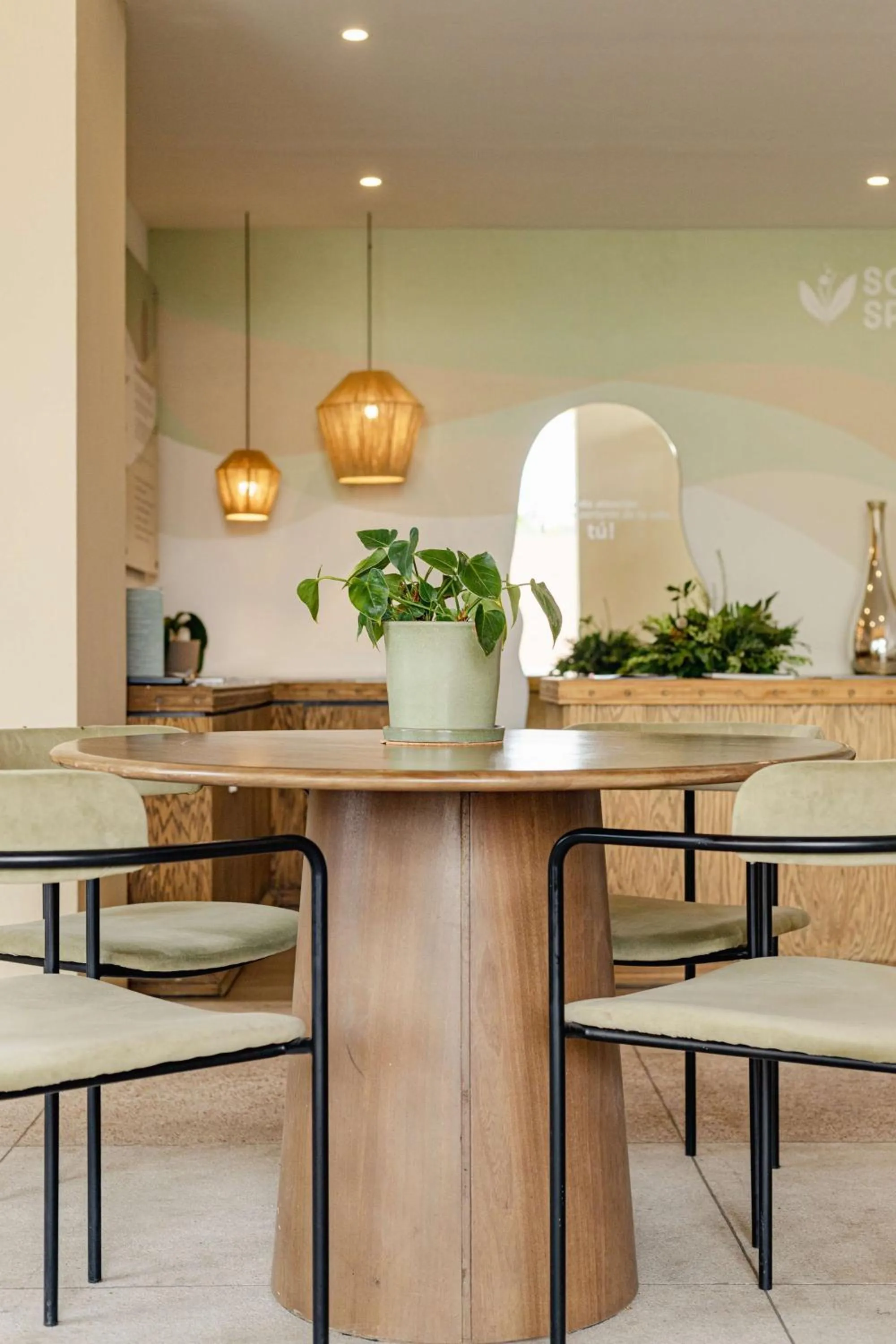 Lobby or reception in Soul Spring Sanctuary Cuernavaca