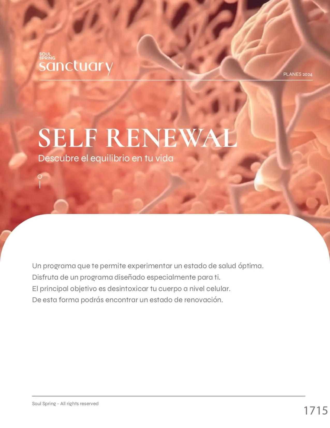 Soul Spring Sanctuary Cuernavaca