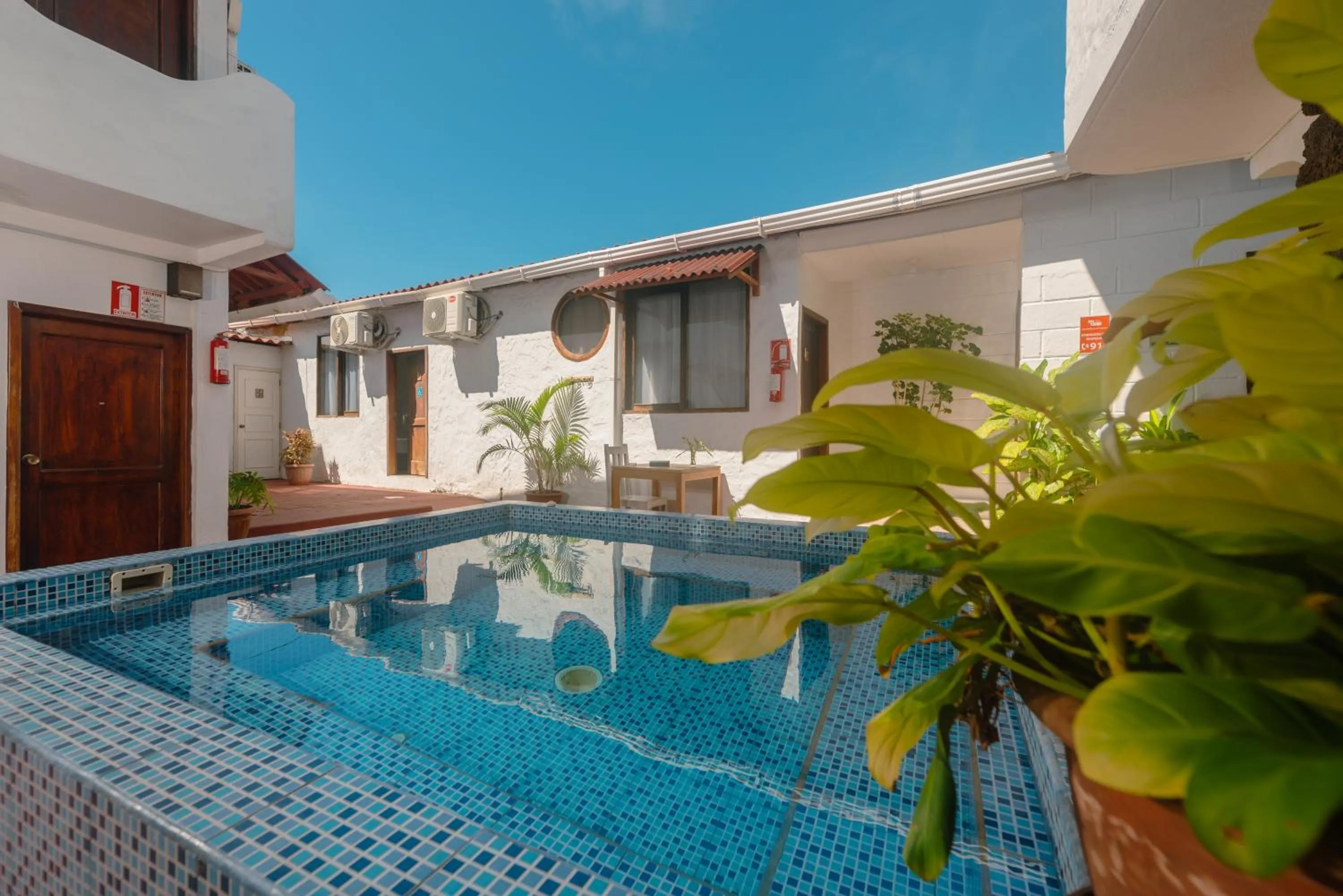 Swimming pool in Hostal North Seymour