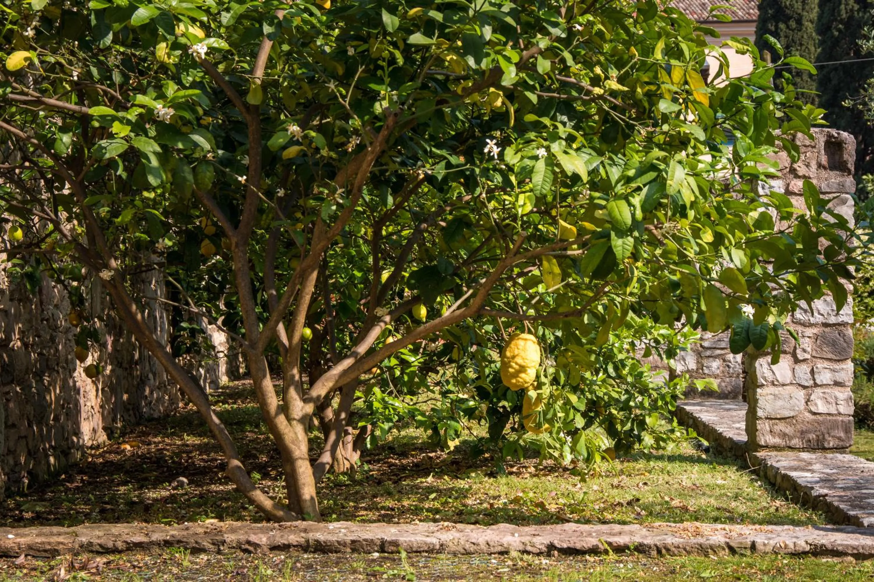 Garden in Residence Fondo La Campagnola