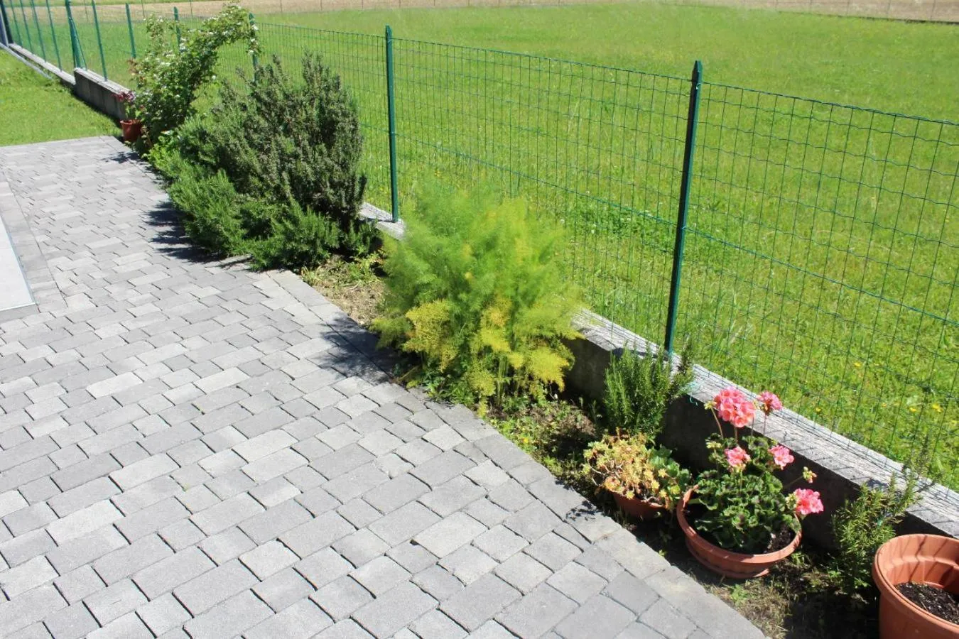 Garden in Villa Madi