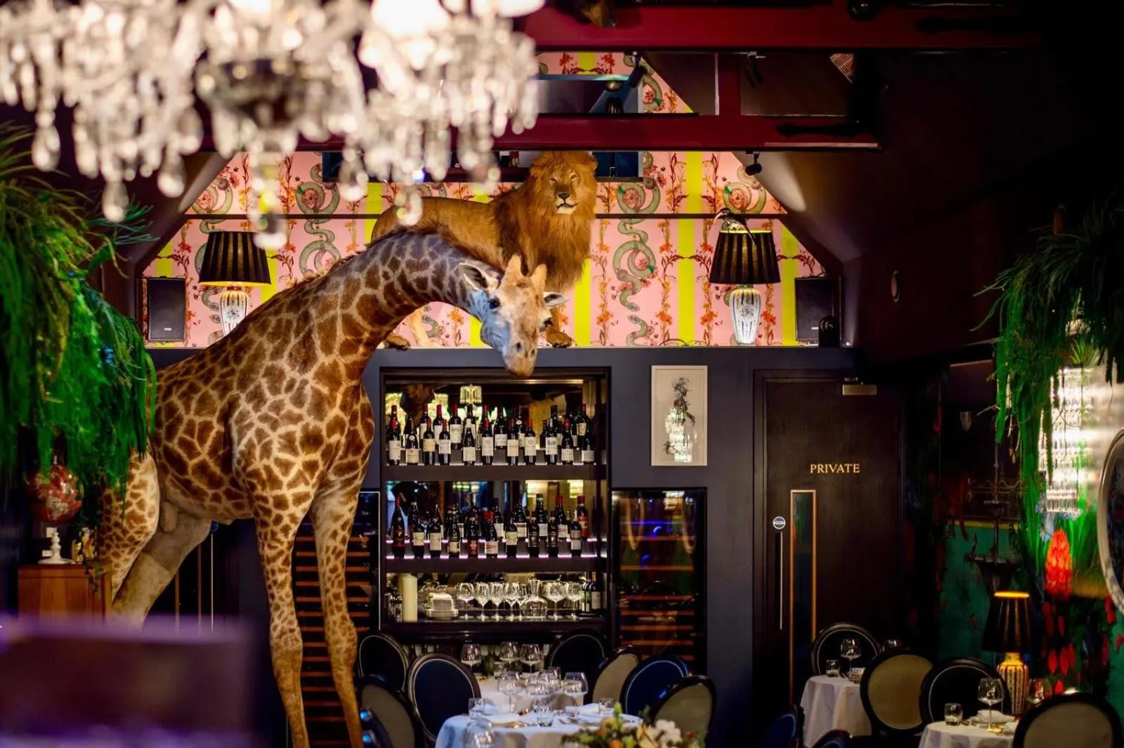 Restaurant/places to eat in Hux Hotel, Kensington