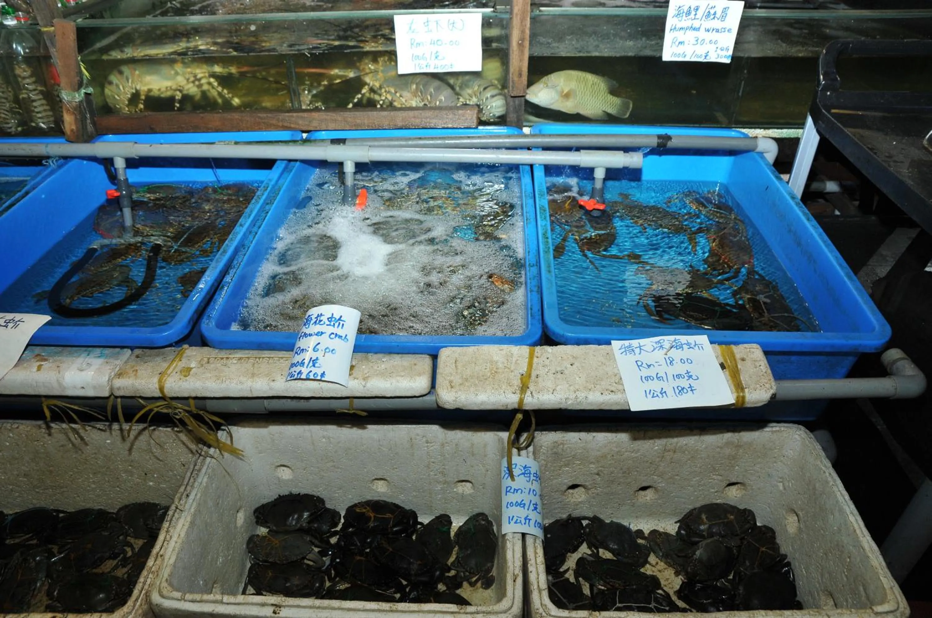 Restaurant/places to eat in Api-Api GuestHouse