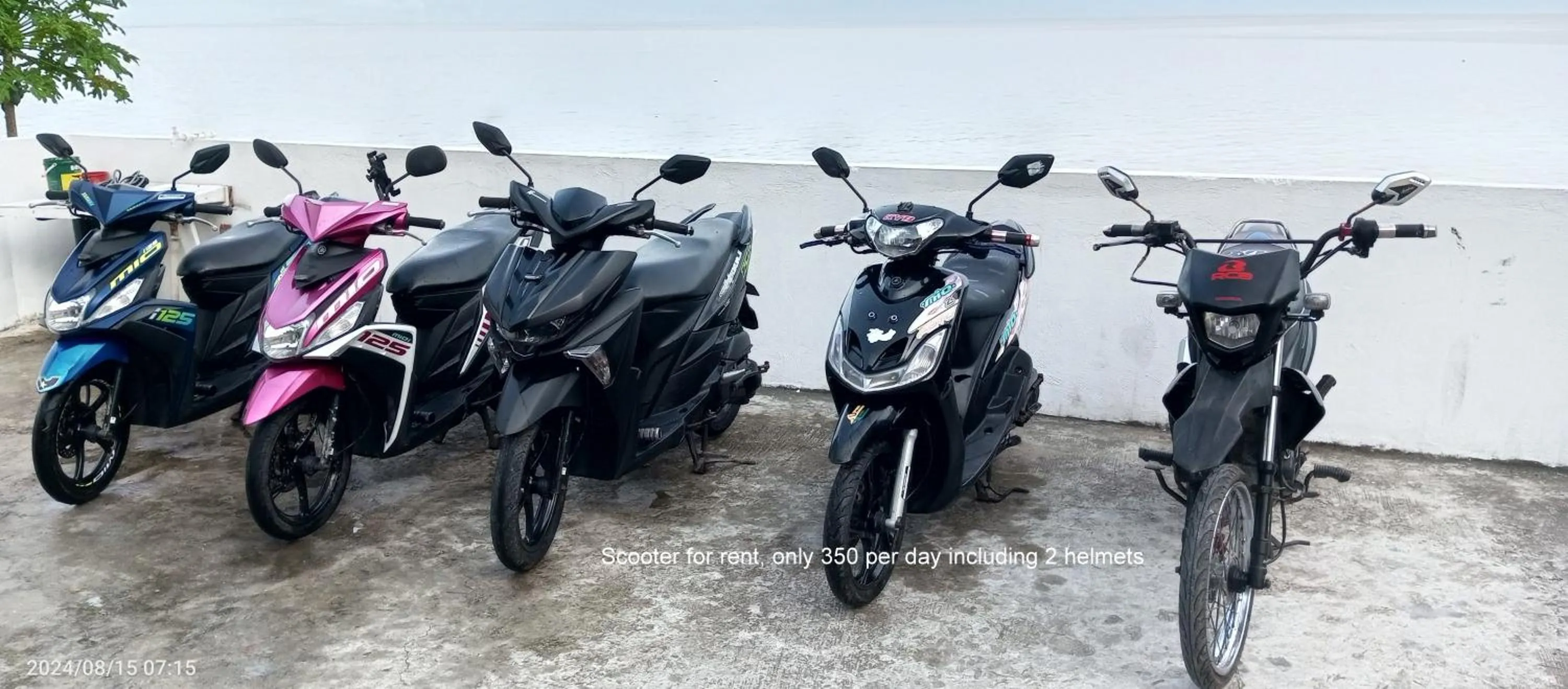 Property building in MLK Bamboo Beachhouse