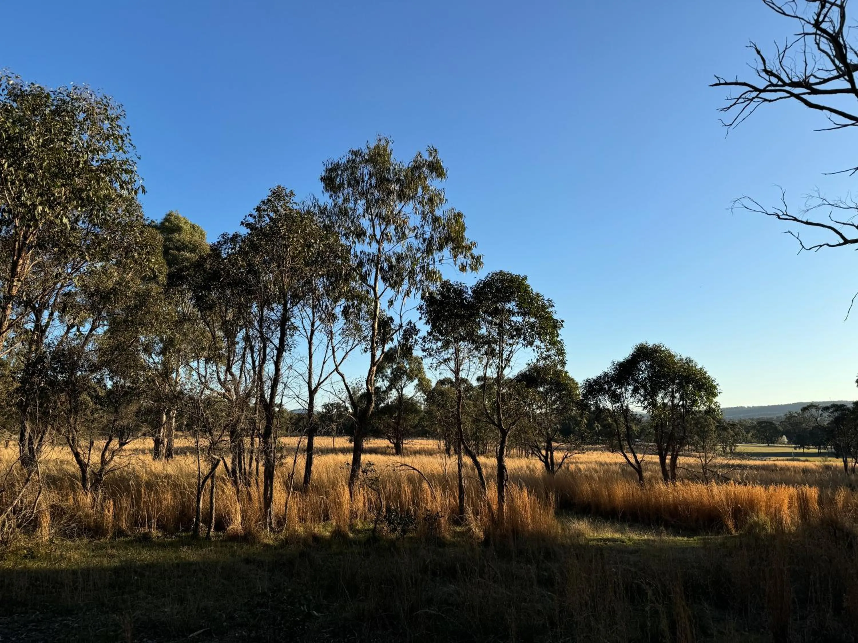 Tiny Away Escape at Granite Belt - Sommerville Valley