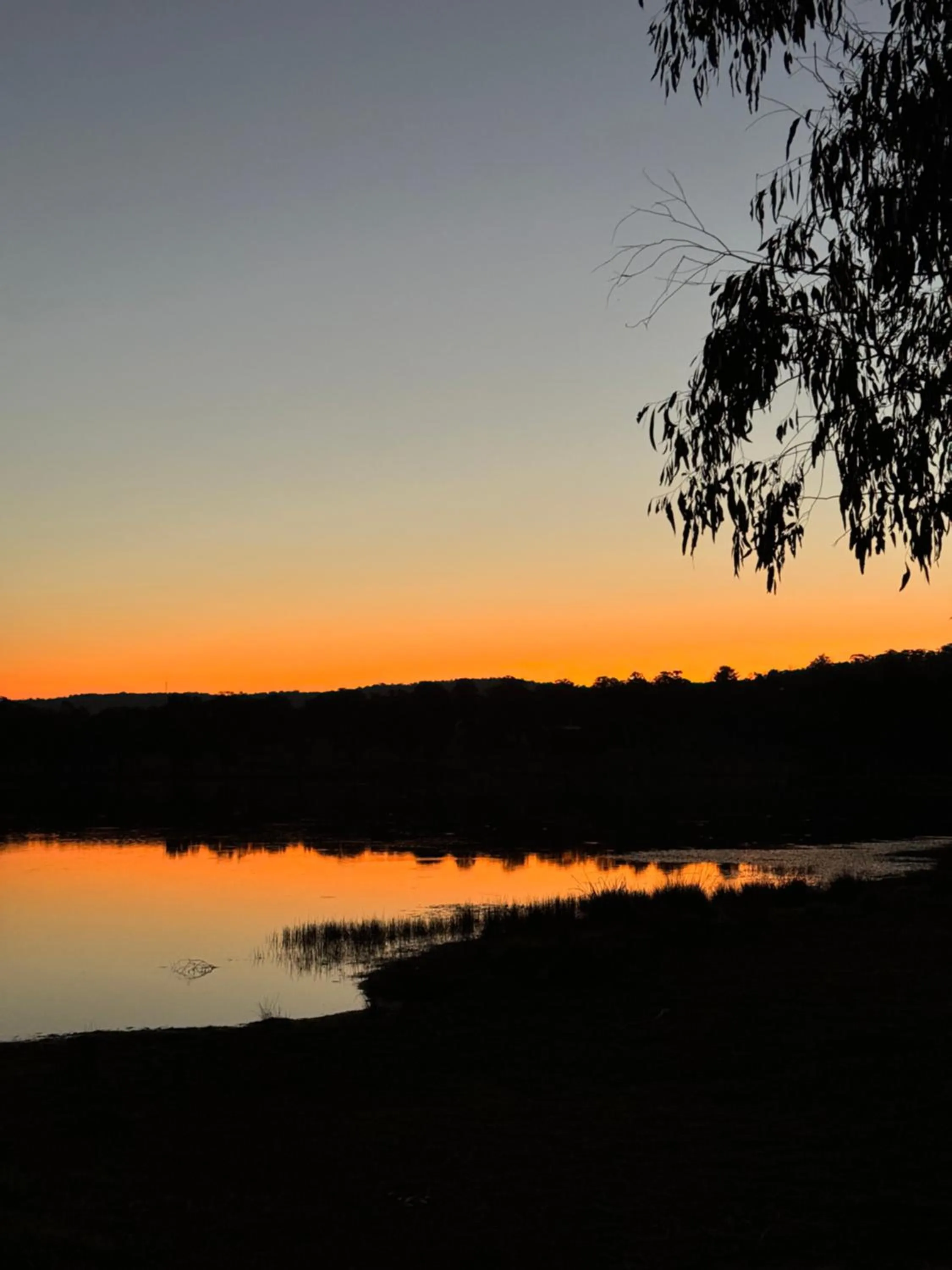 Tiny Away Escape at Granite Belt - Sommerville Valley