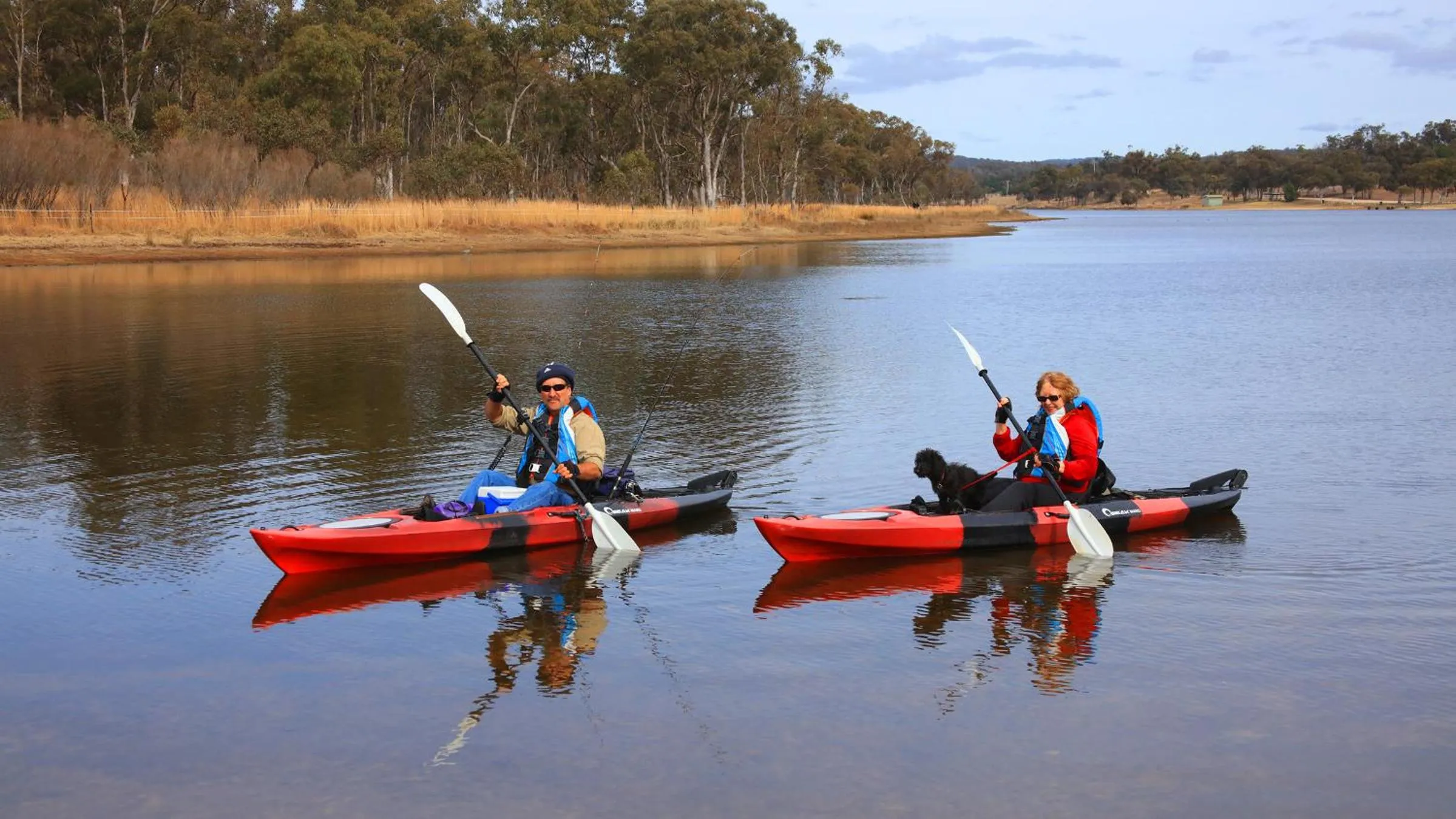 Tiny Away Escape at Granite Belt - Sommerville Valley