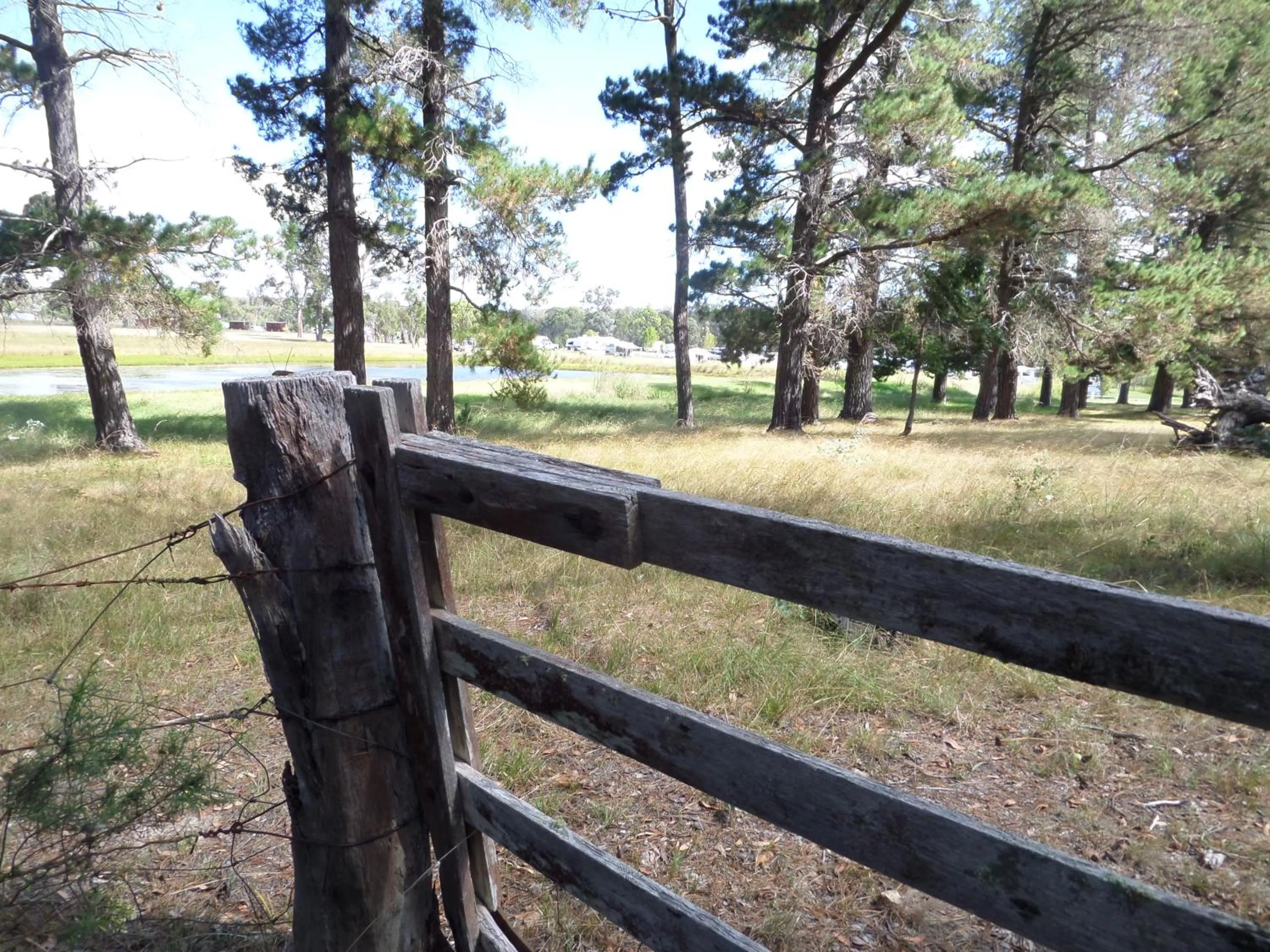 Natural landscape in Tiny Away Escape at Granite Belt - Sommerville Valley
