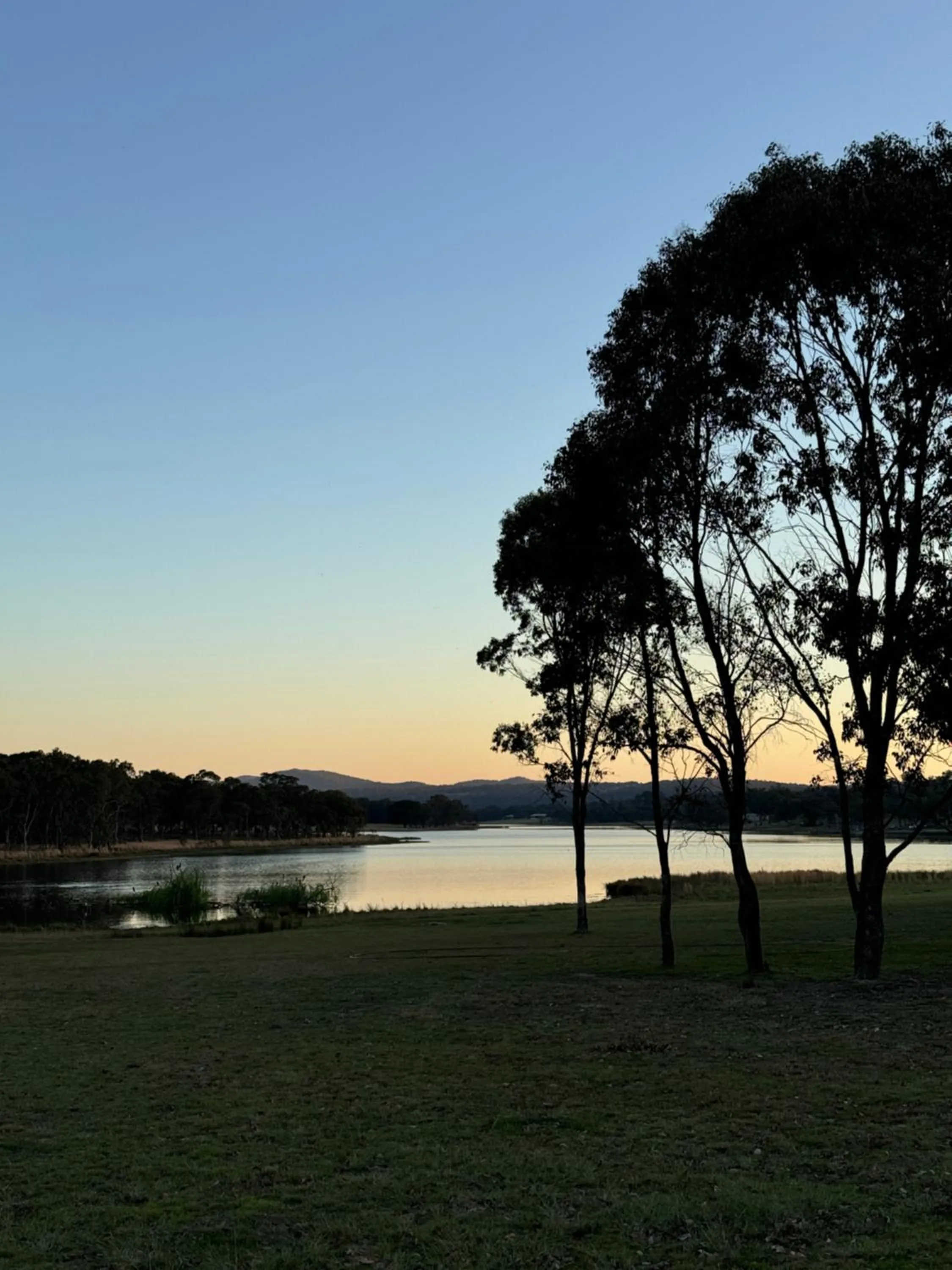 Tiny Away Escape at Granite Belt - Sommerville Valley