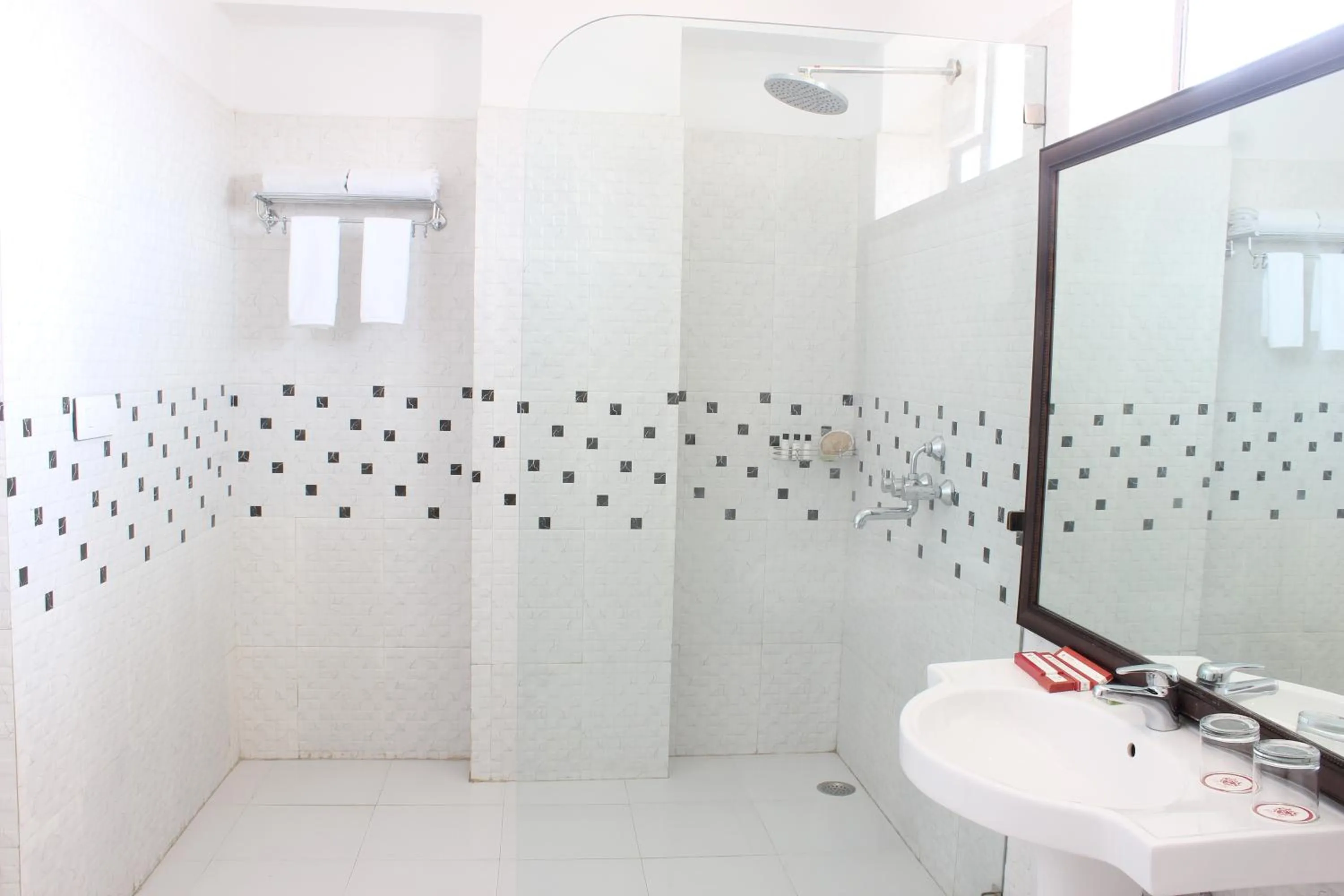 Bathroom in Regenta Central Mewargarh, Near Biological park