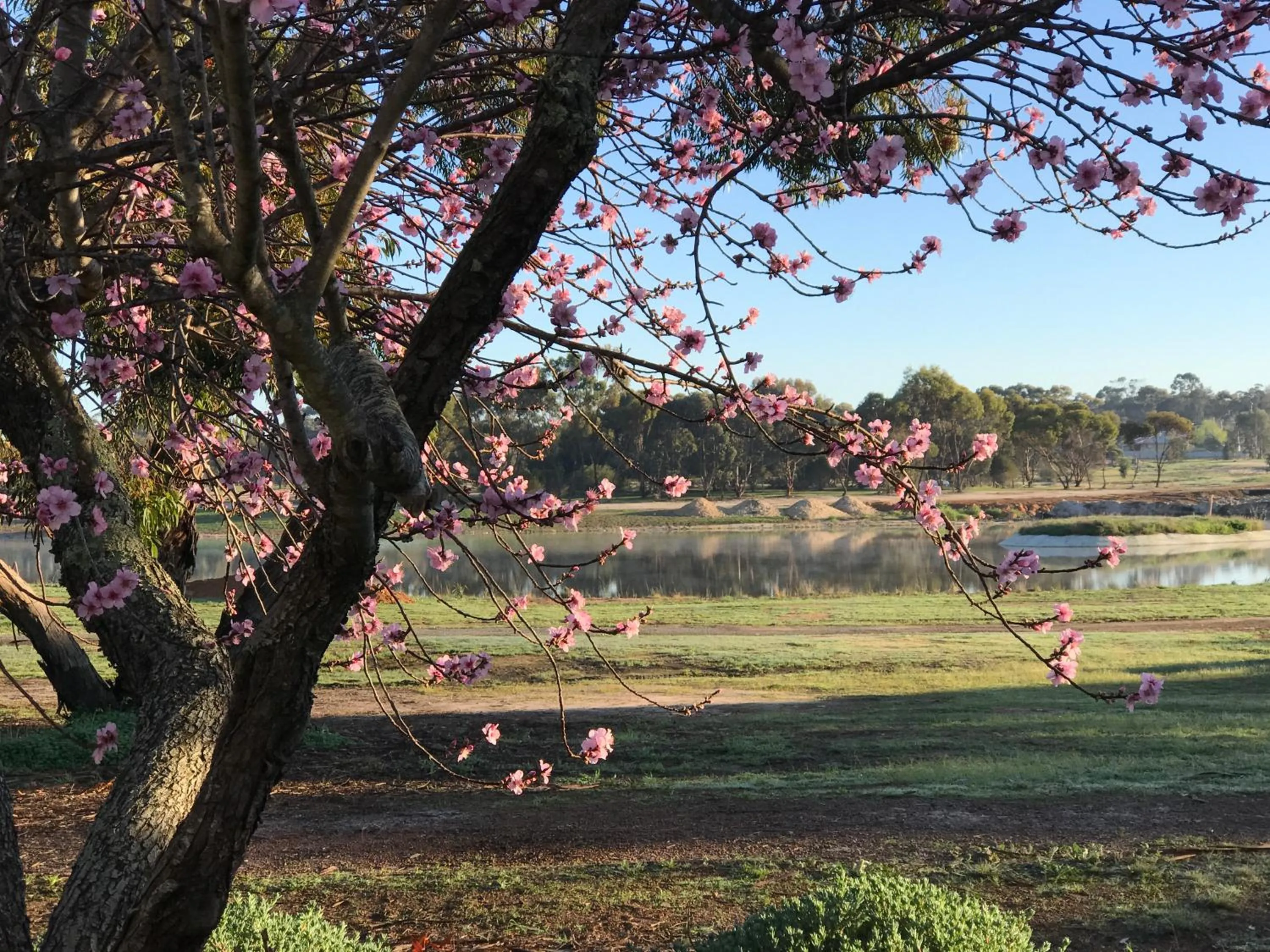 Property building in Yellow Gum Bed and Breakfast