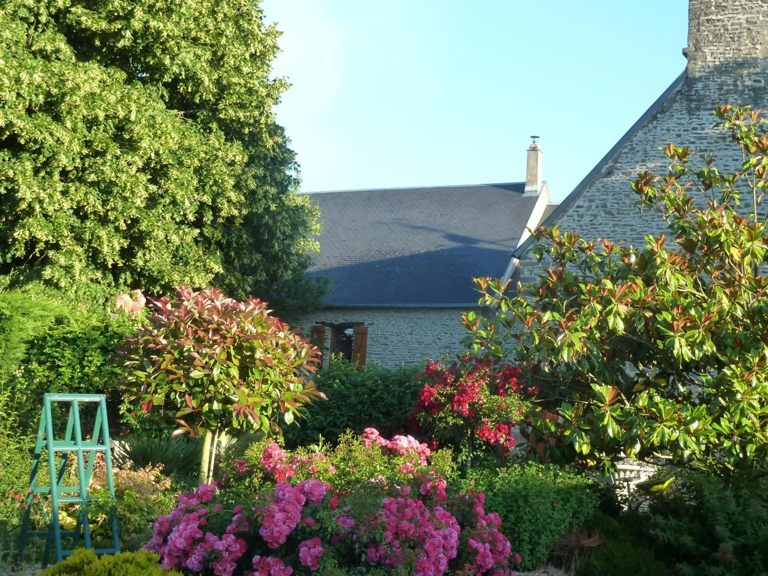 Natural landscape in Les Bruyères du Mont