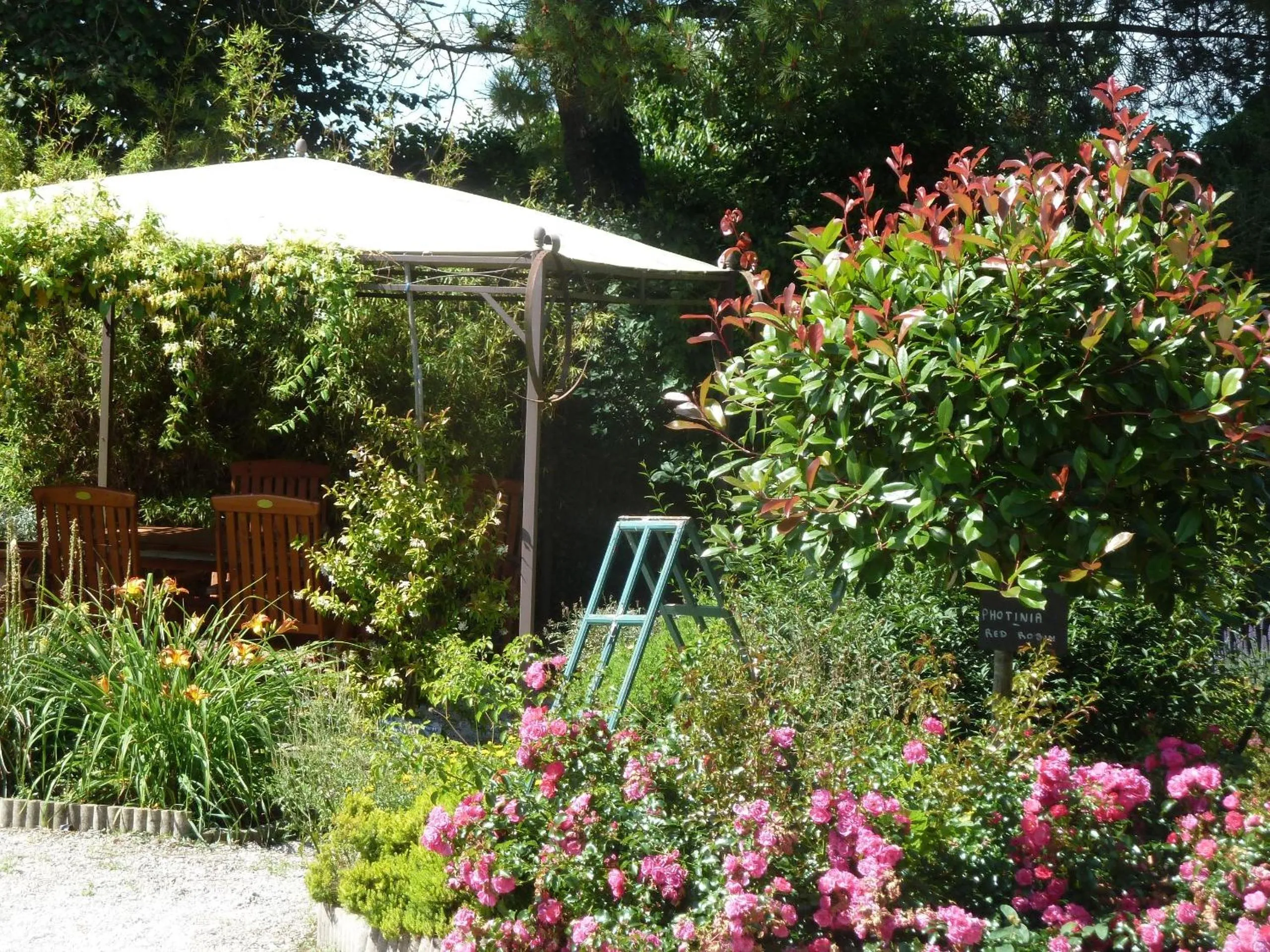 Garden view in Les Bruyères du Mont