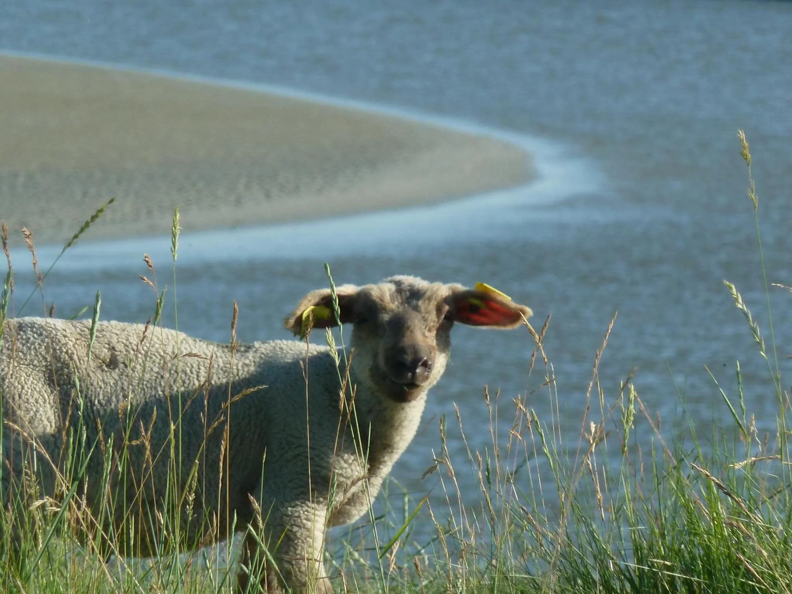 Day in Les Bruyères du Mont