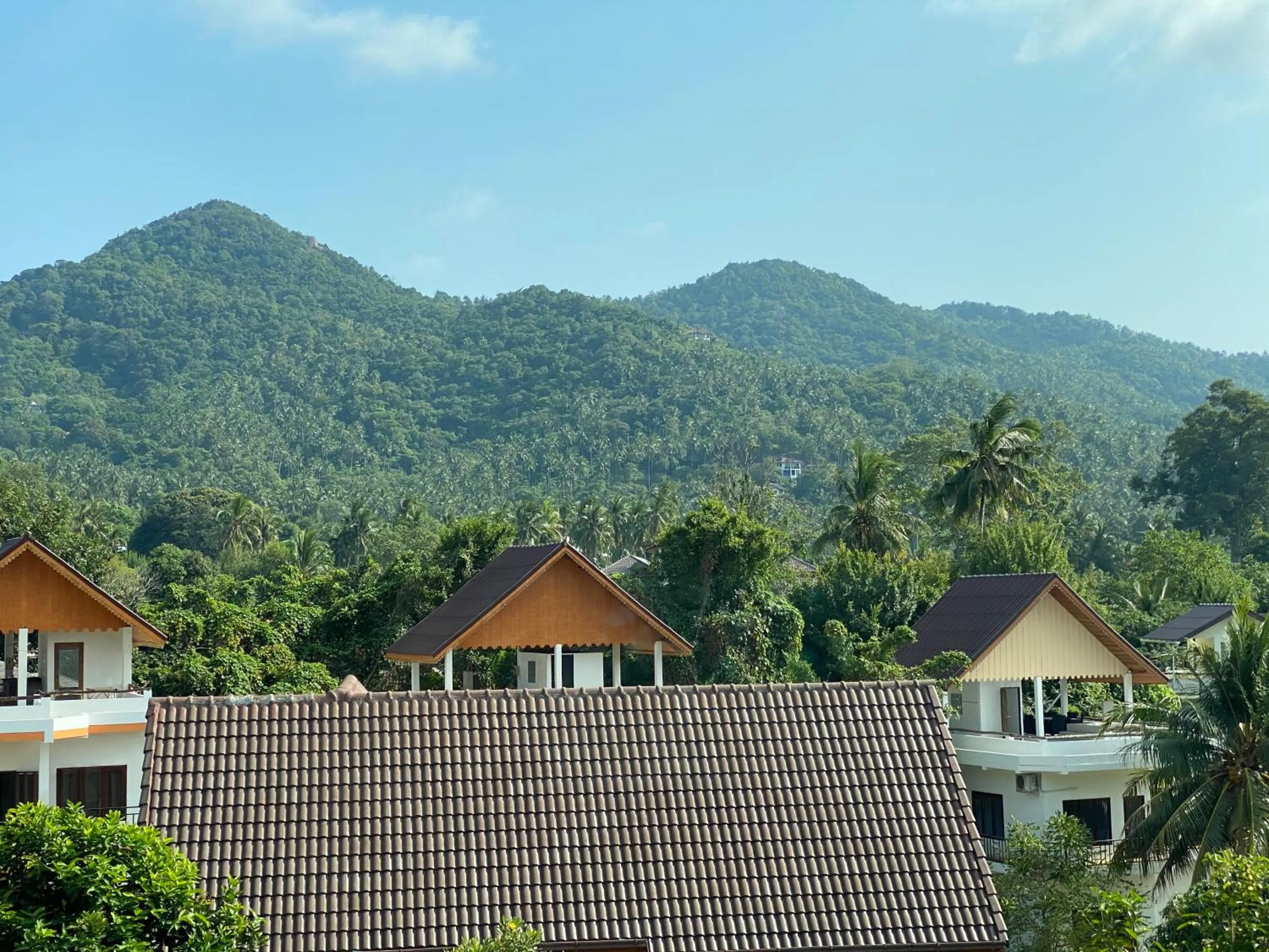 Mountain view in Budchui Guesthouse