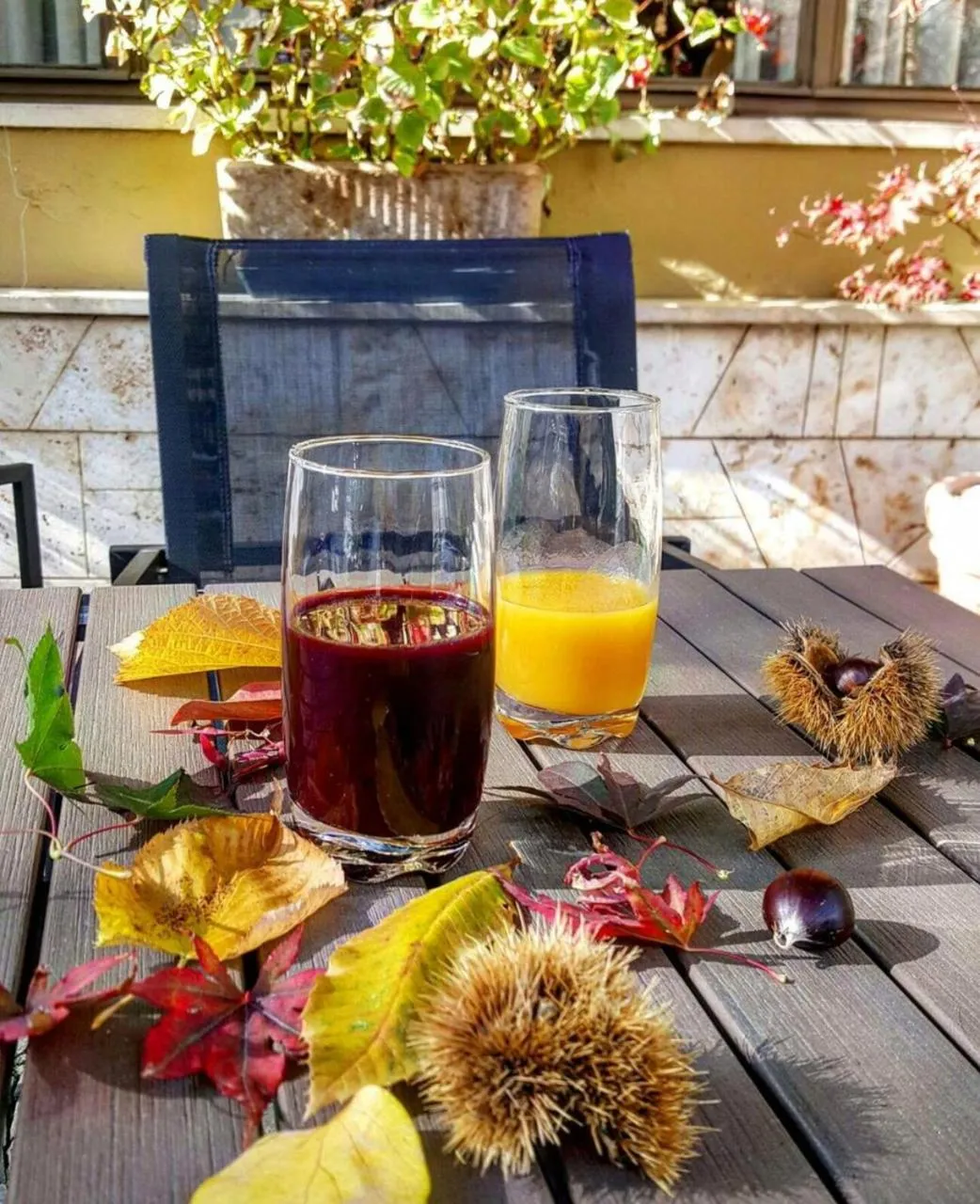 Autumn in Hotel Delle Ortensie