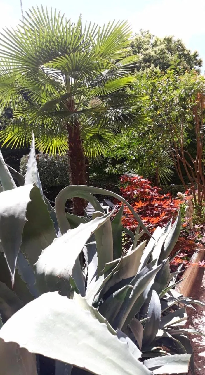 Natural landscape in Hotel Delle Ortensie