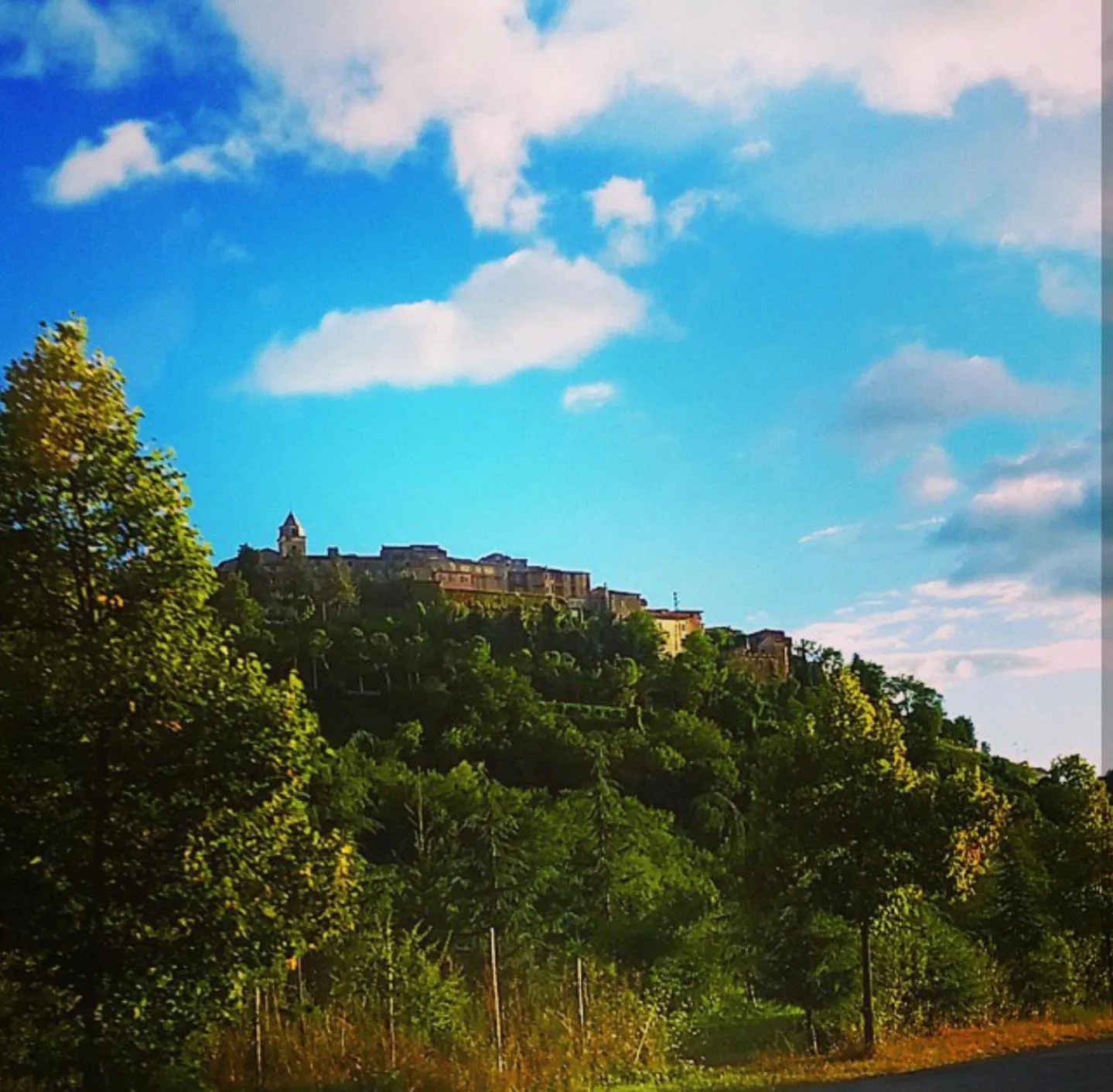 City view in Hotel Delle Ortensie