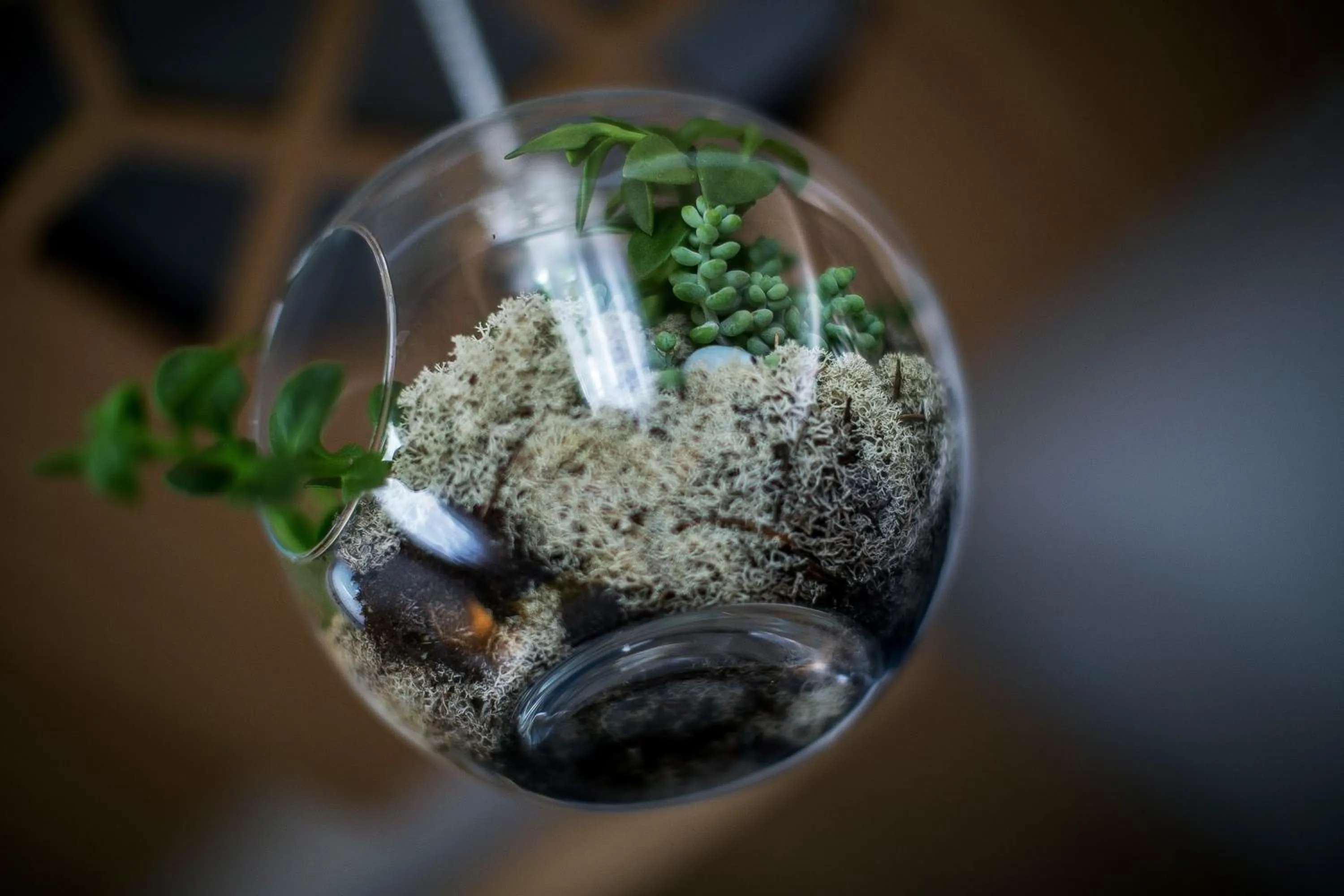 Other in Rooms Lejletul