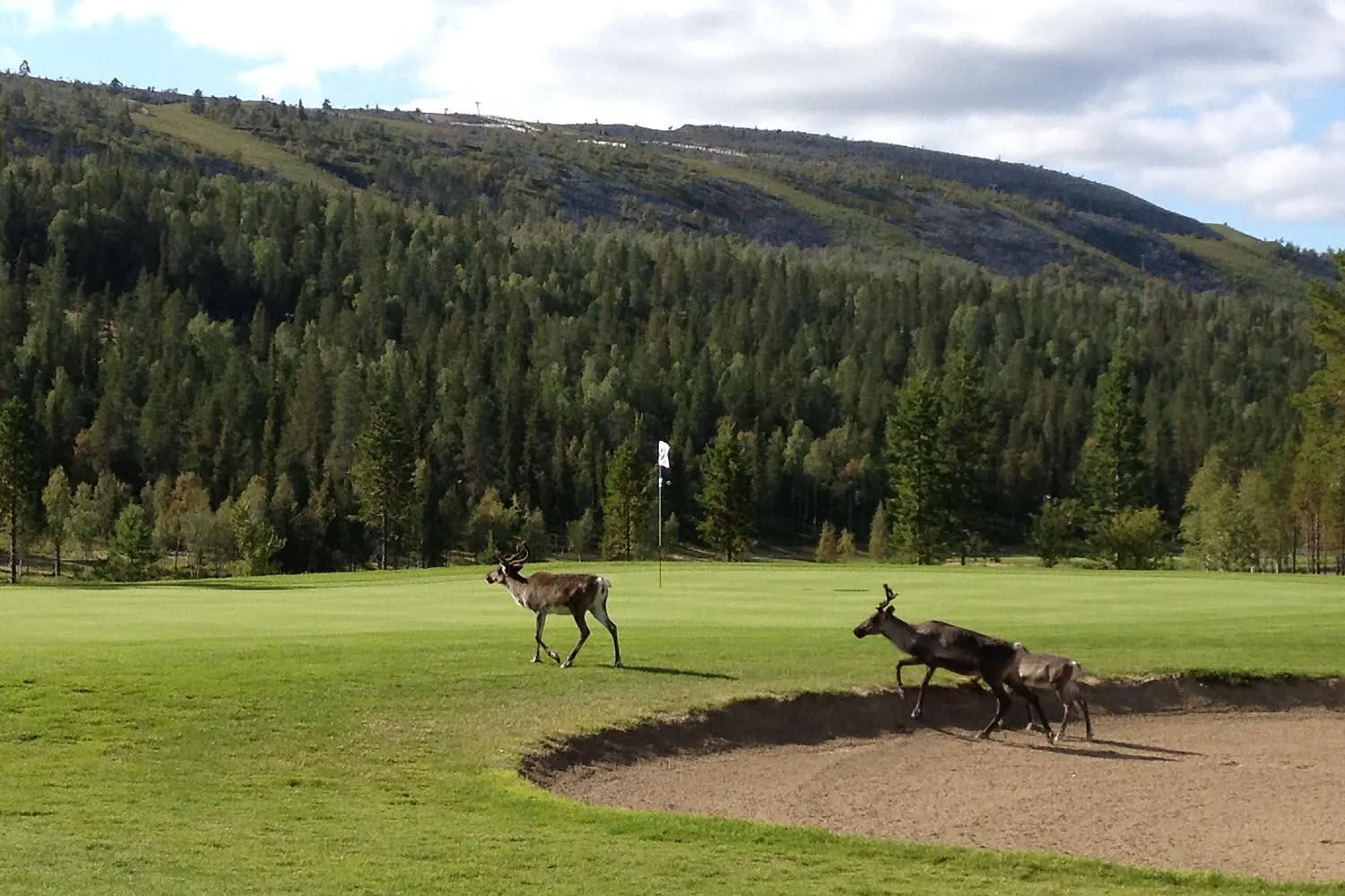Golfcourse in Hotel Hullu Poro