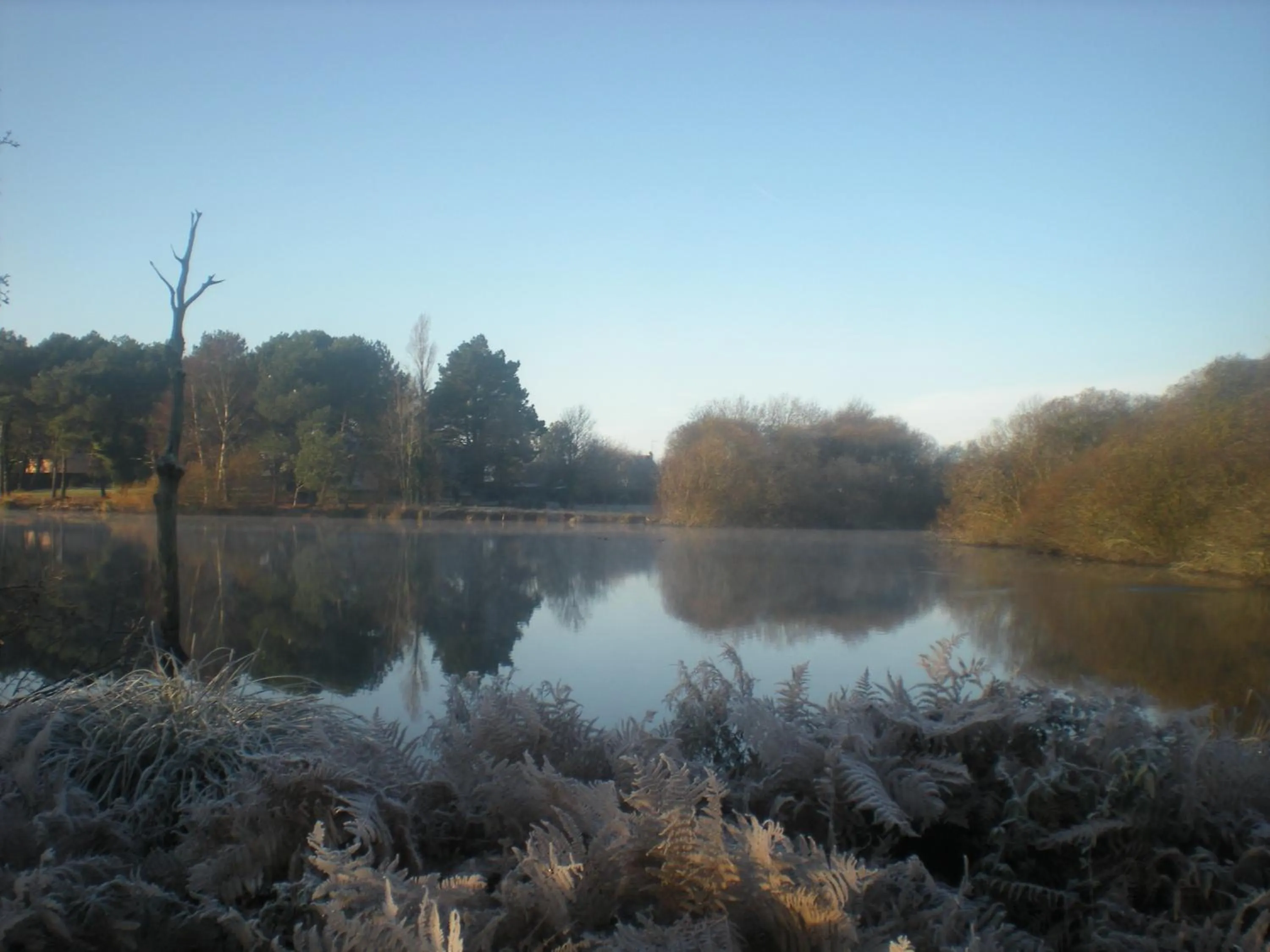 Domaine de kerbillec