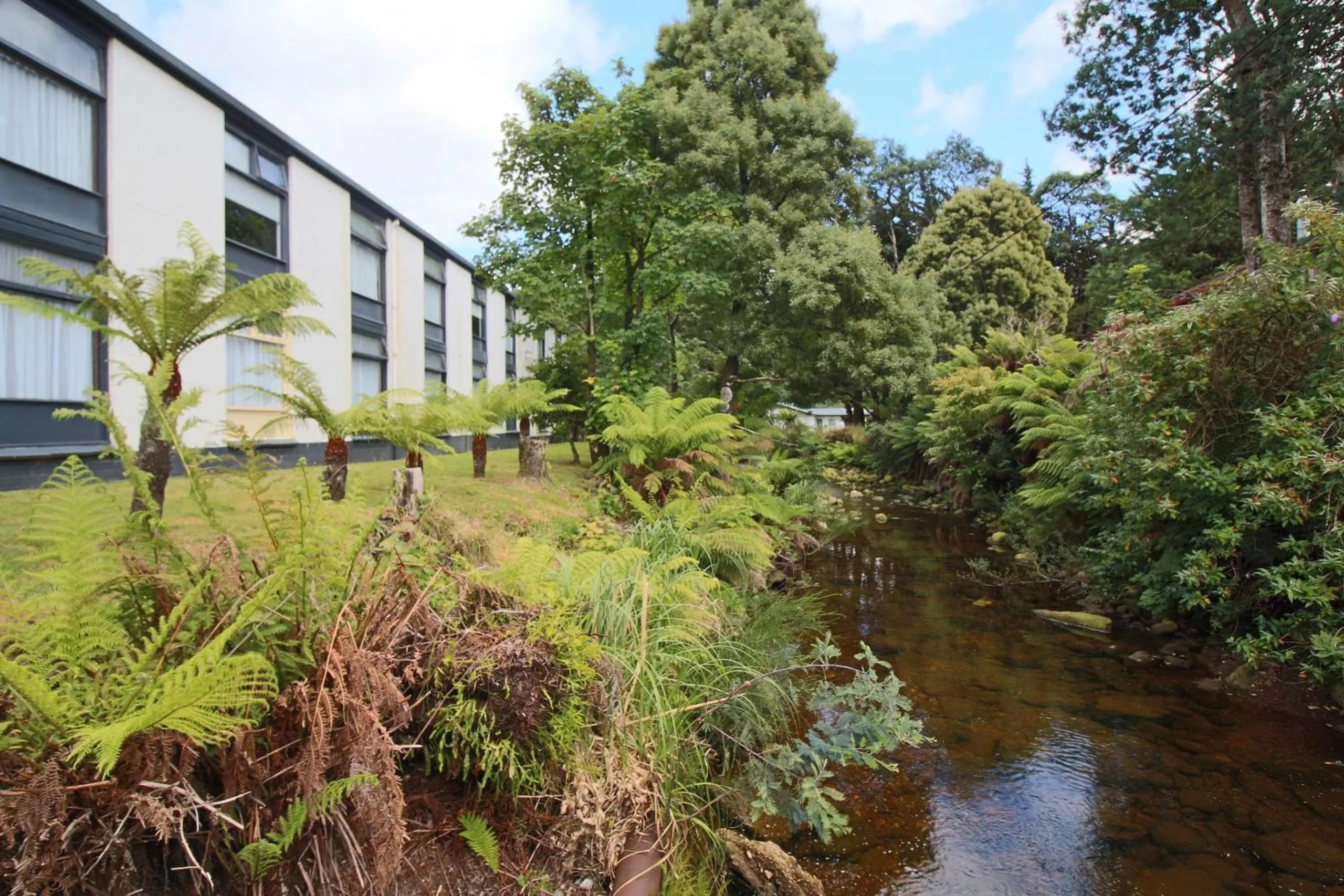 Garden in West Coaster Motel