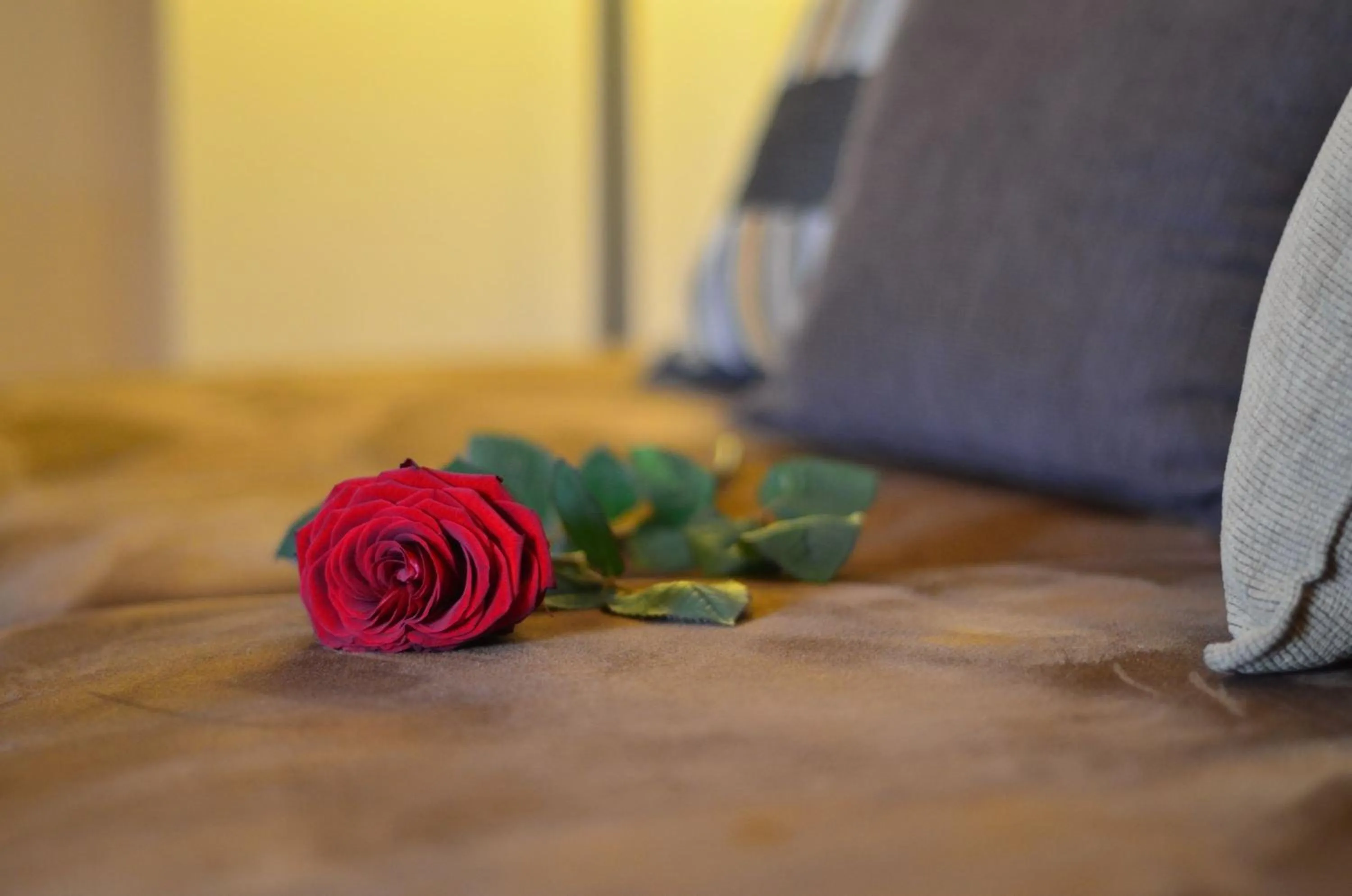 Decorative detail, Bed in Hotel - Restaurant Gonduzo