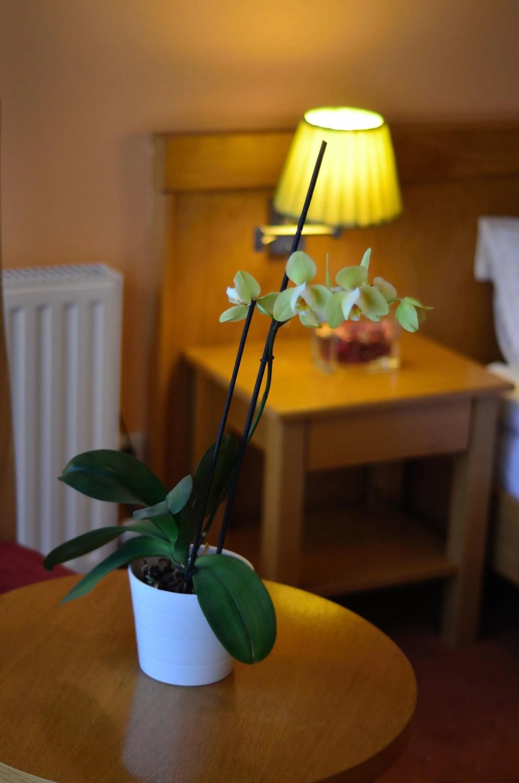 Decorative detail in Hotel - Restaurant Gonduzo