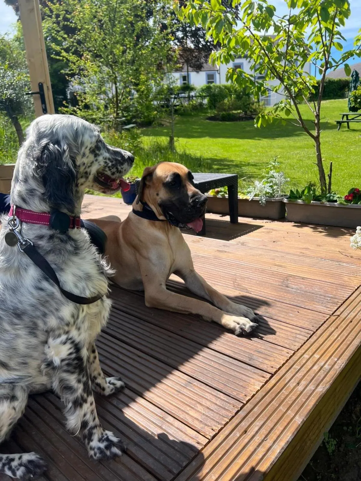 Day in The Ship Inn - Winner Best Hotel Experience 2024 Visit Scotland