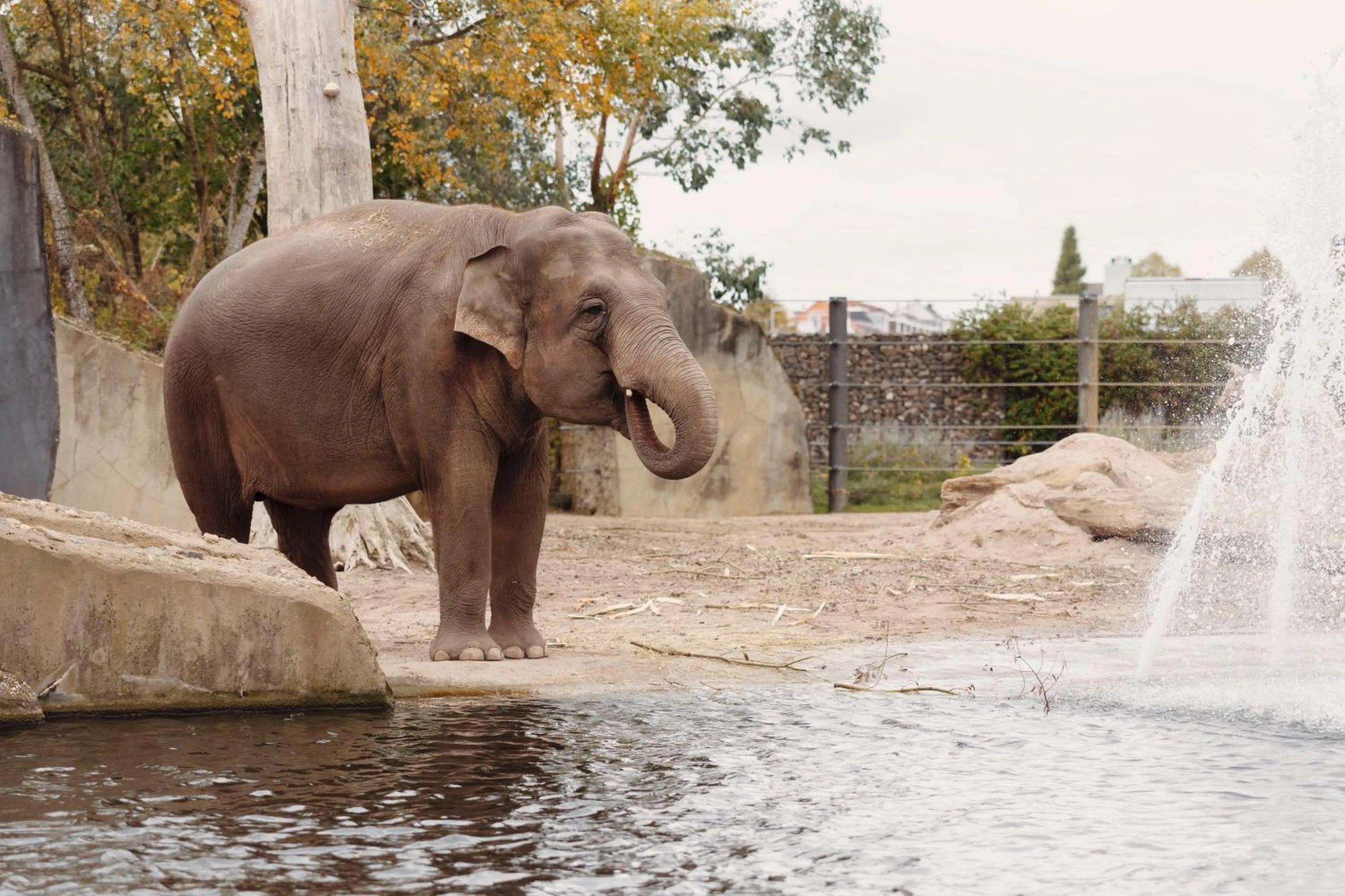 Activities in Van der Valk Hotel Oostzaan - Amsterdam