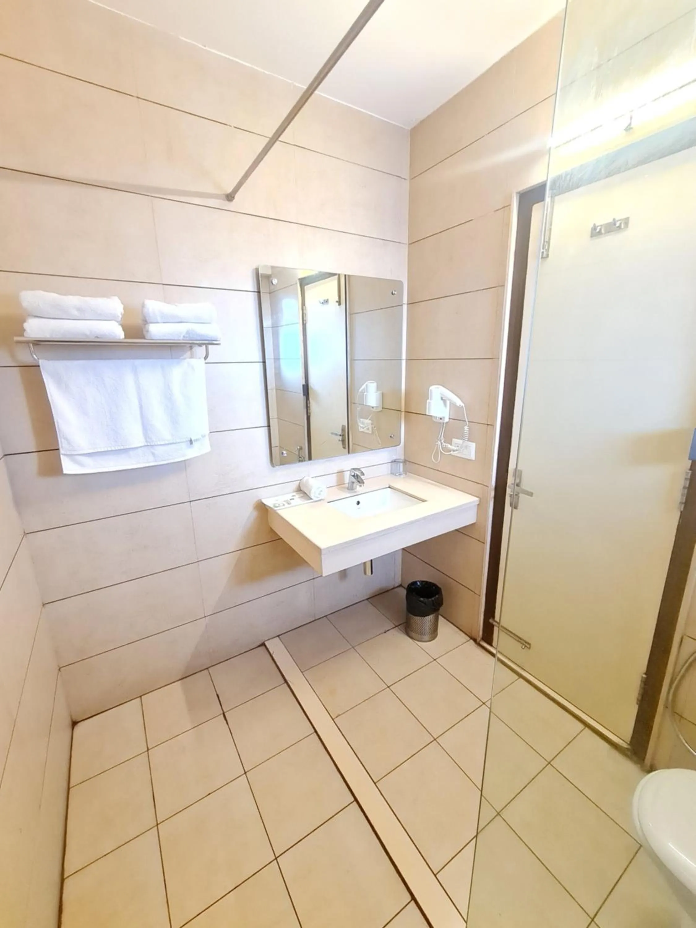 Toilet in Hotel Central Palace