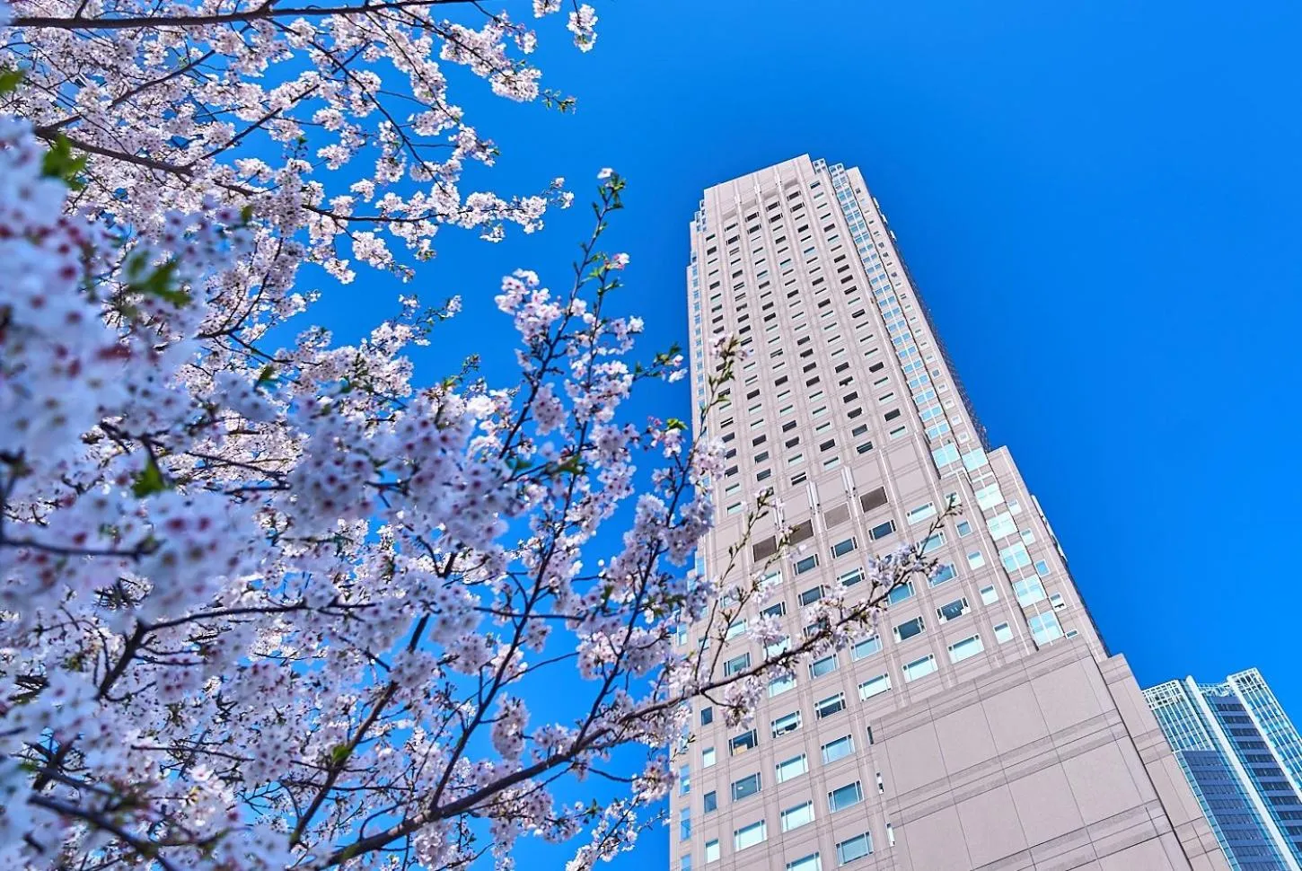 Property building in Cerulean Tower Tokyu Hotel, A Pan Pacific Partner Hotel