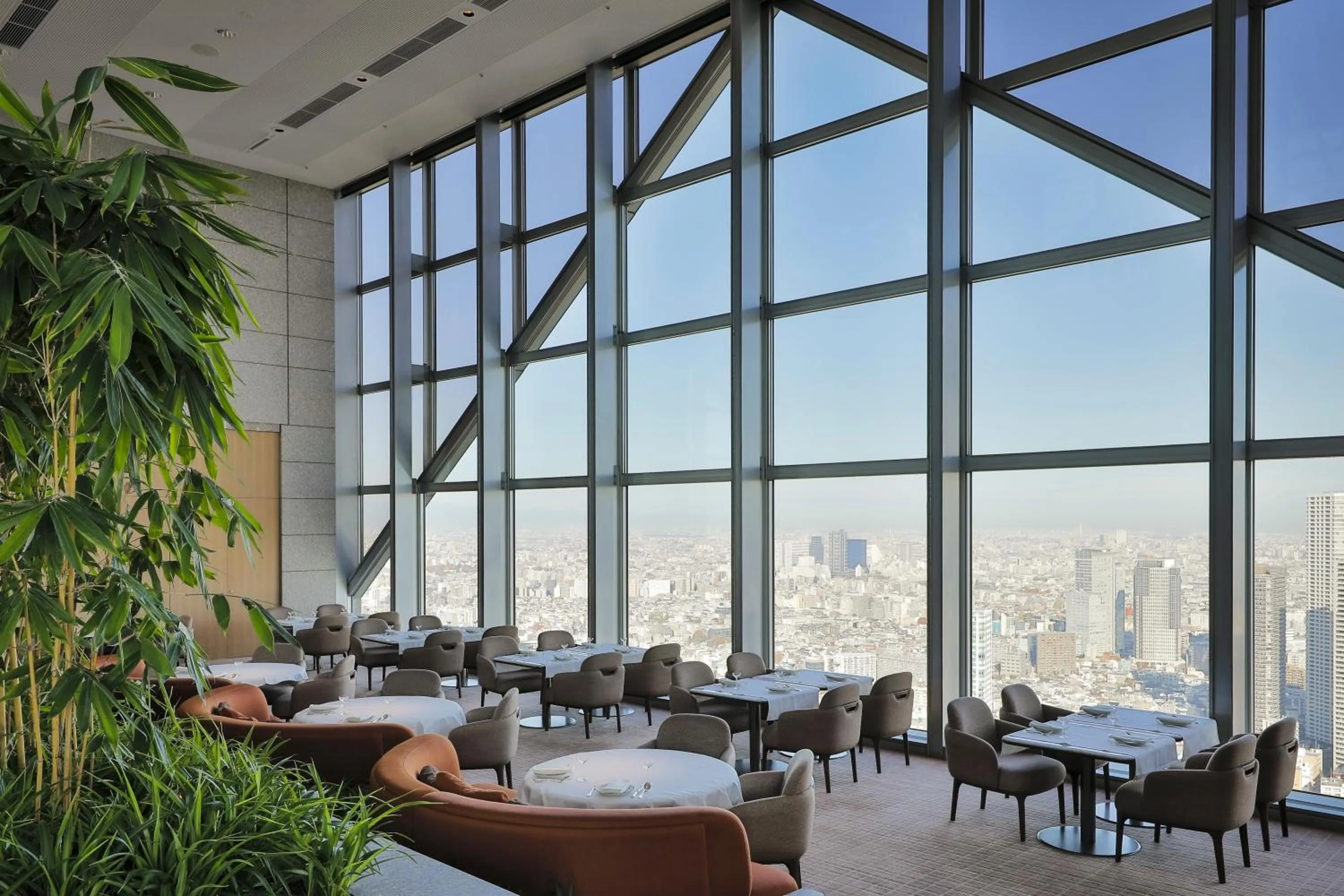 Restaurant/places to eat in Park Hyatt Tokyo