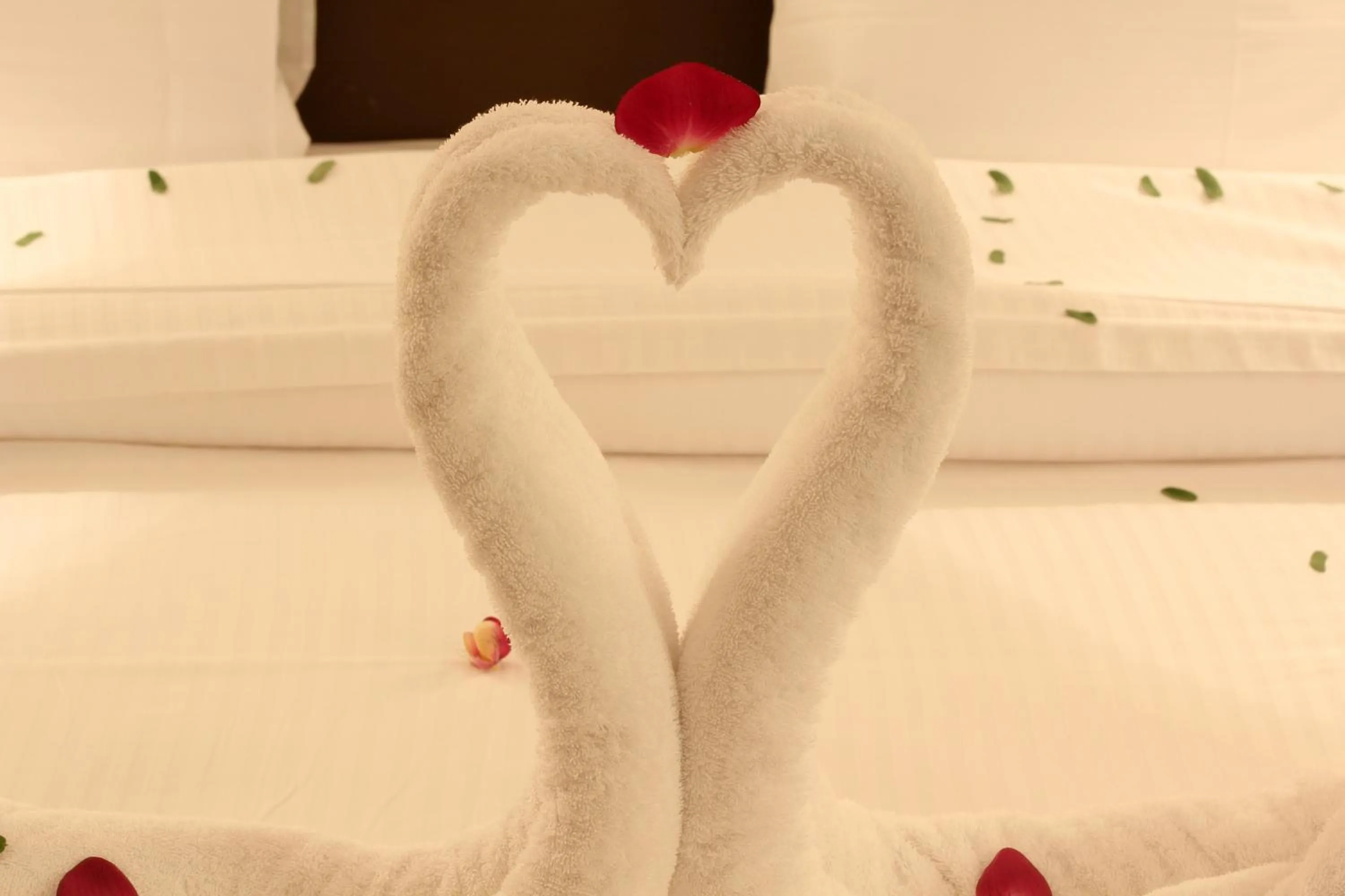 Bed in Aliah Towlan Palace