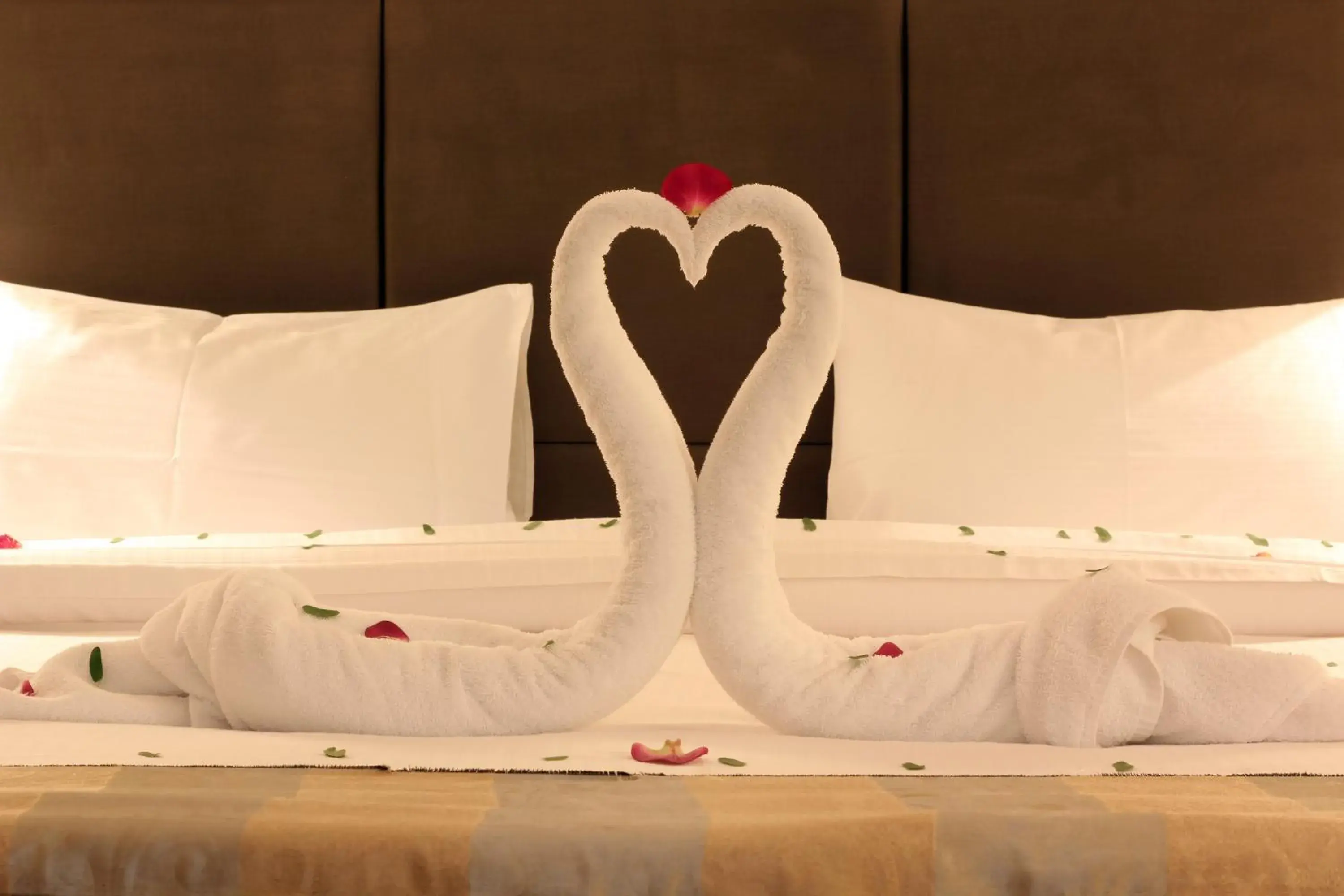 Aliah Towlan Palace Aliah Towlan Palace