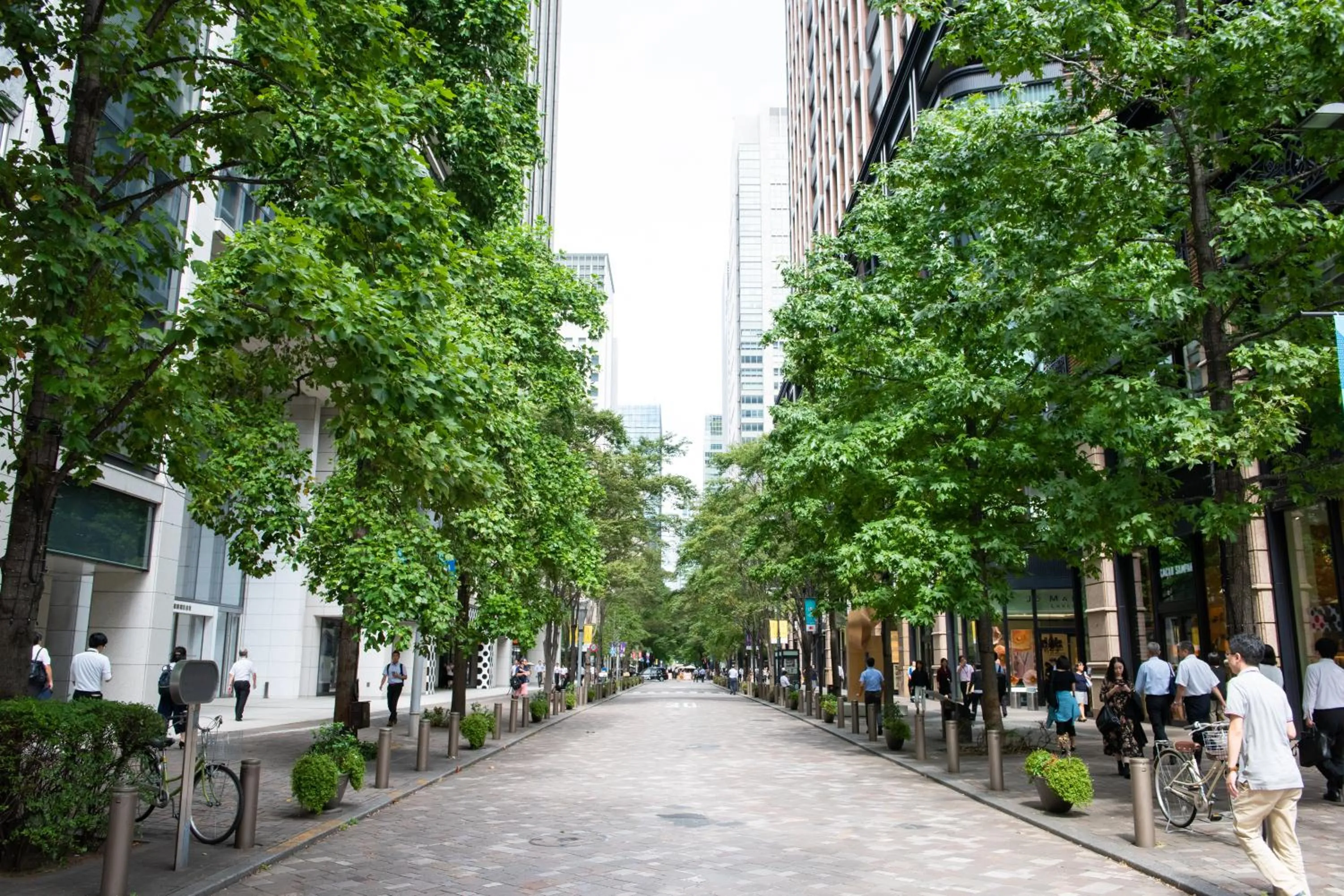 Neighbourhood in Shangri-La Tokyo