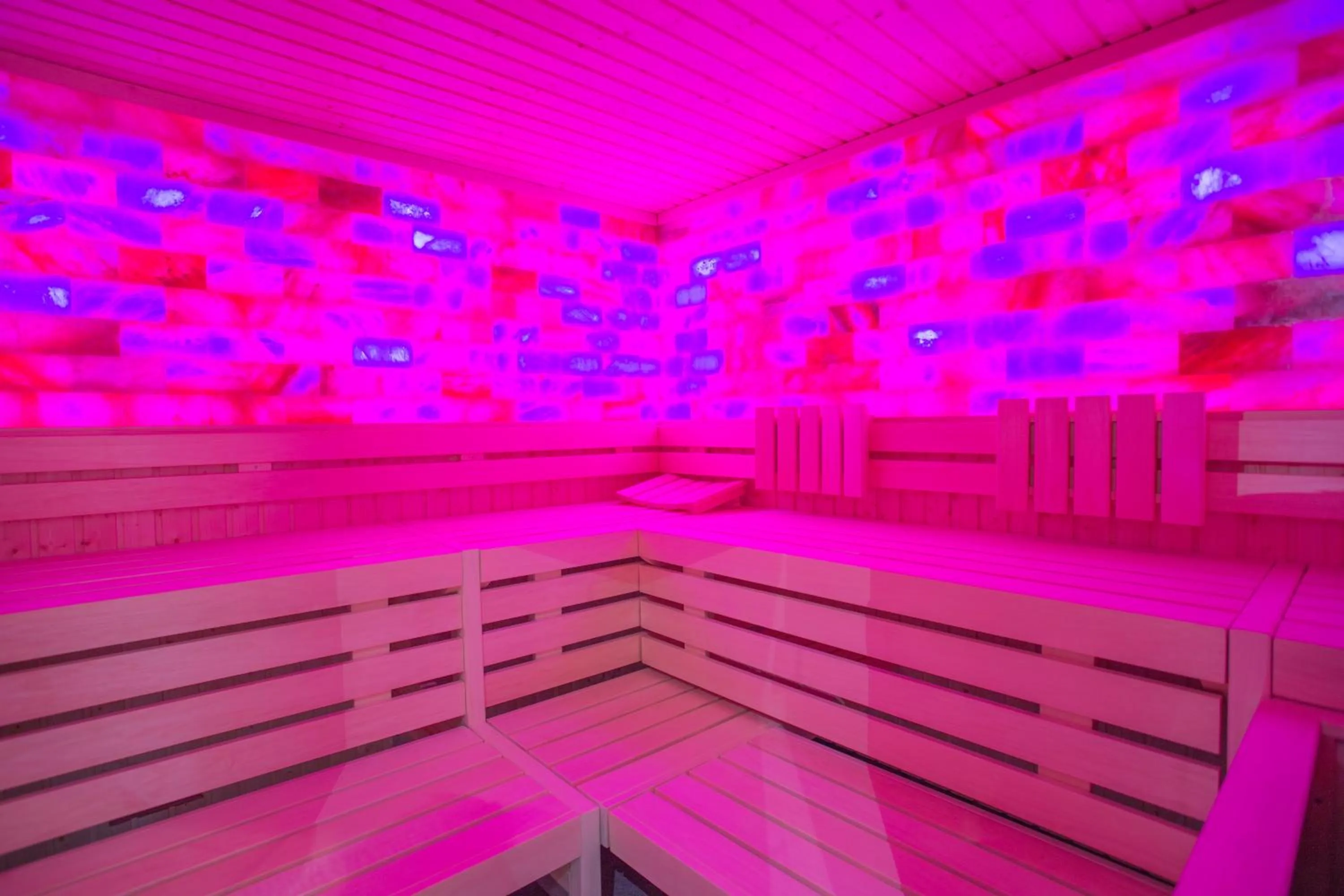 Sauna in Hotel absolute